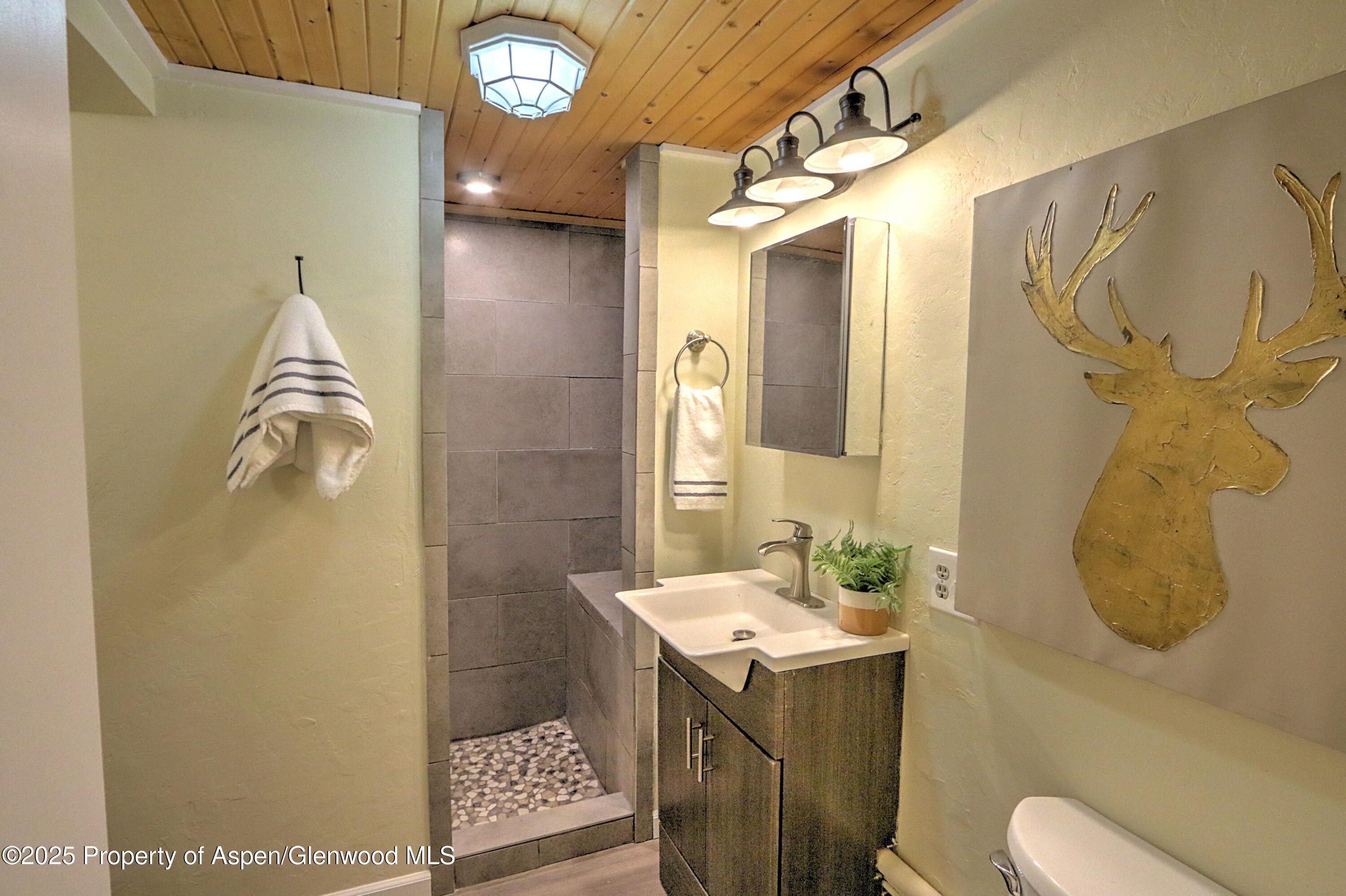 11101 County Road 117 Glenwood Springs CO 81601