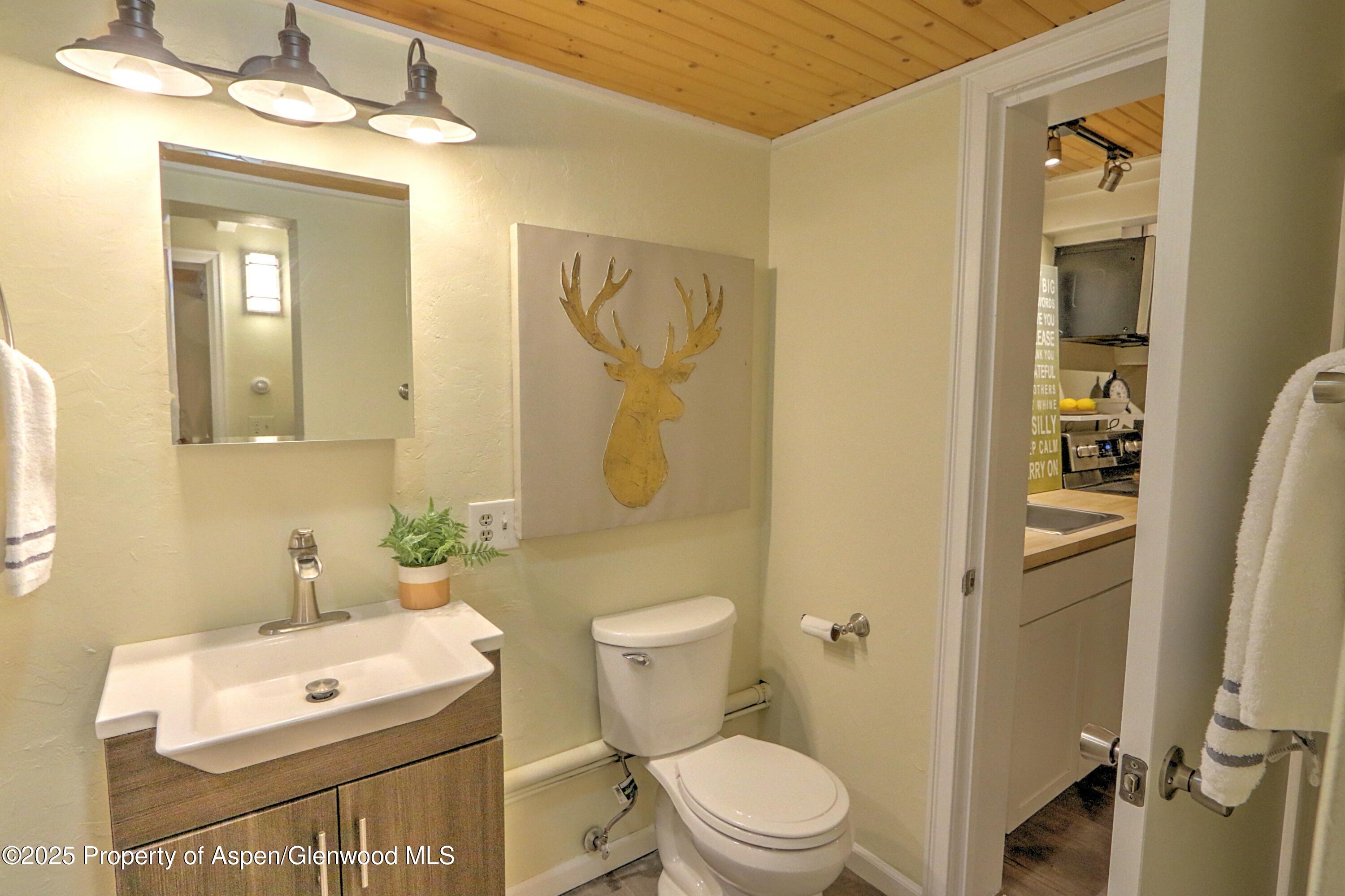 11101 County Road 117 Glenwood Springs CO 81601