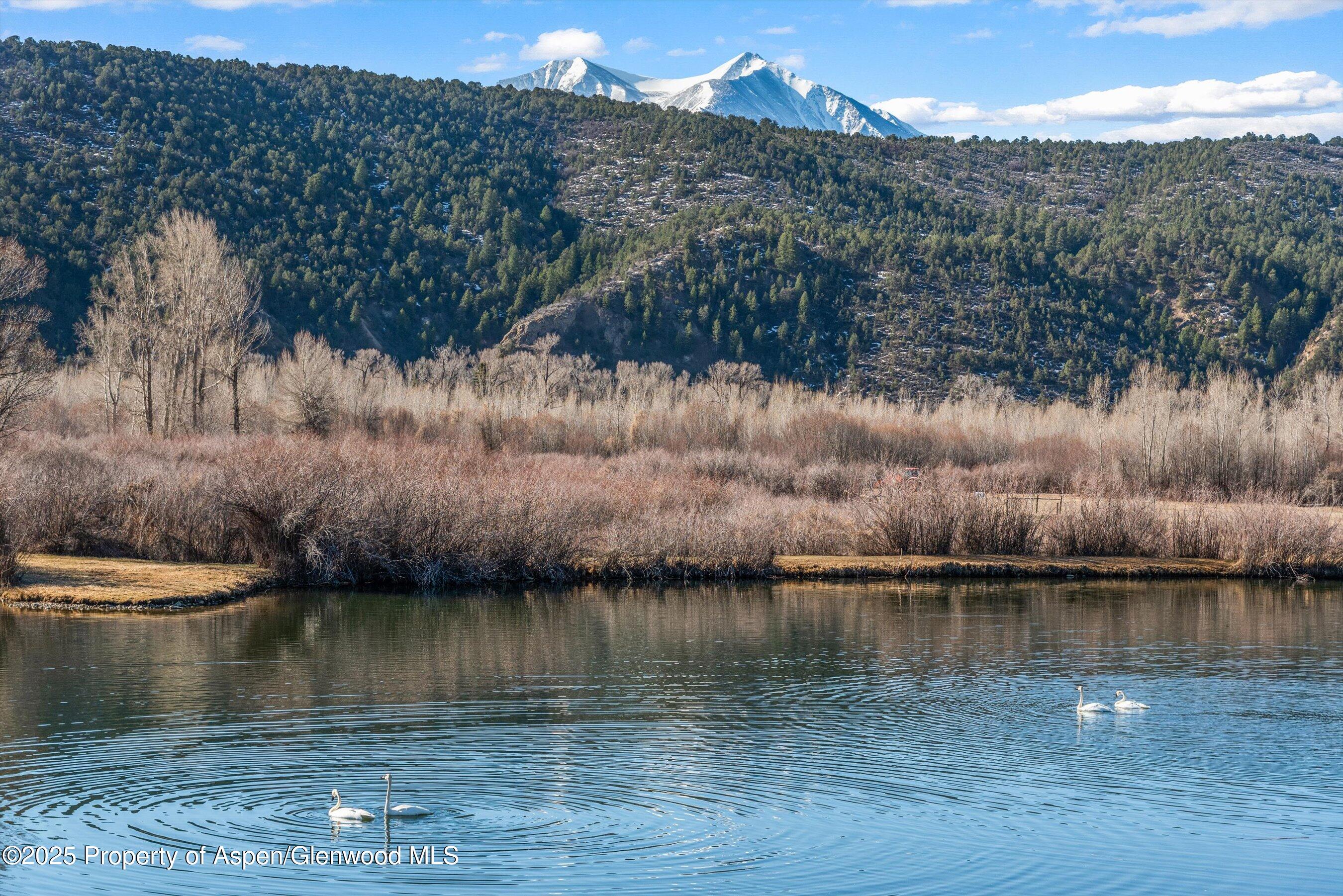 14913 Highway 82 Carbondale CO 81623