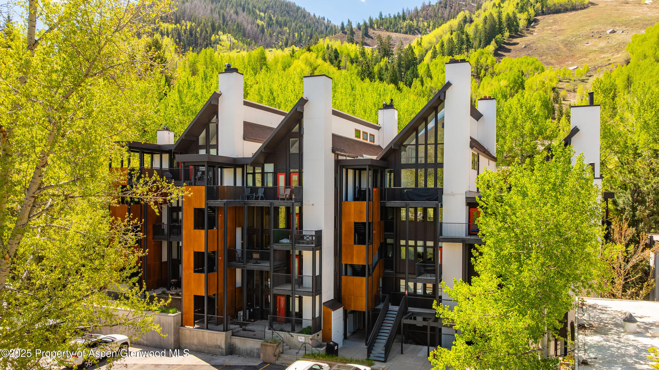 800 S Mill Street Aspen CO 81611