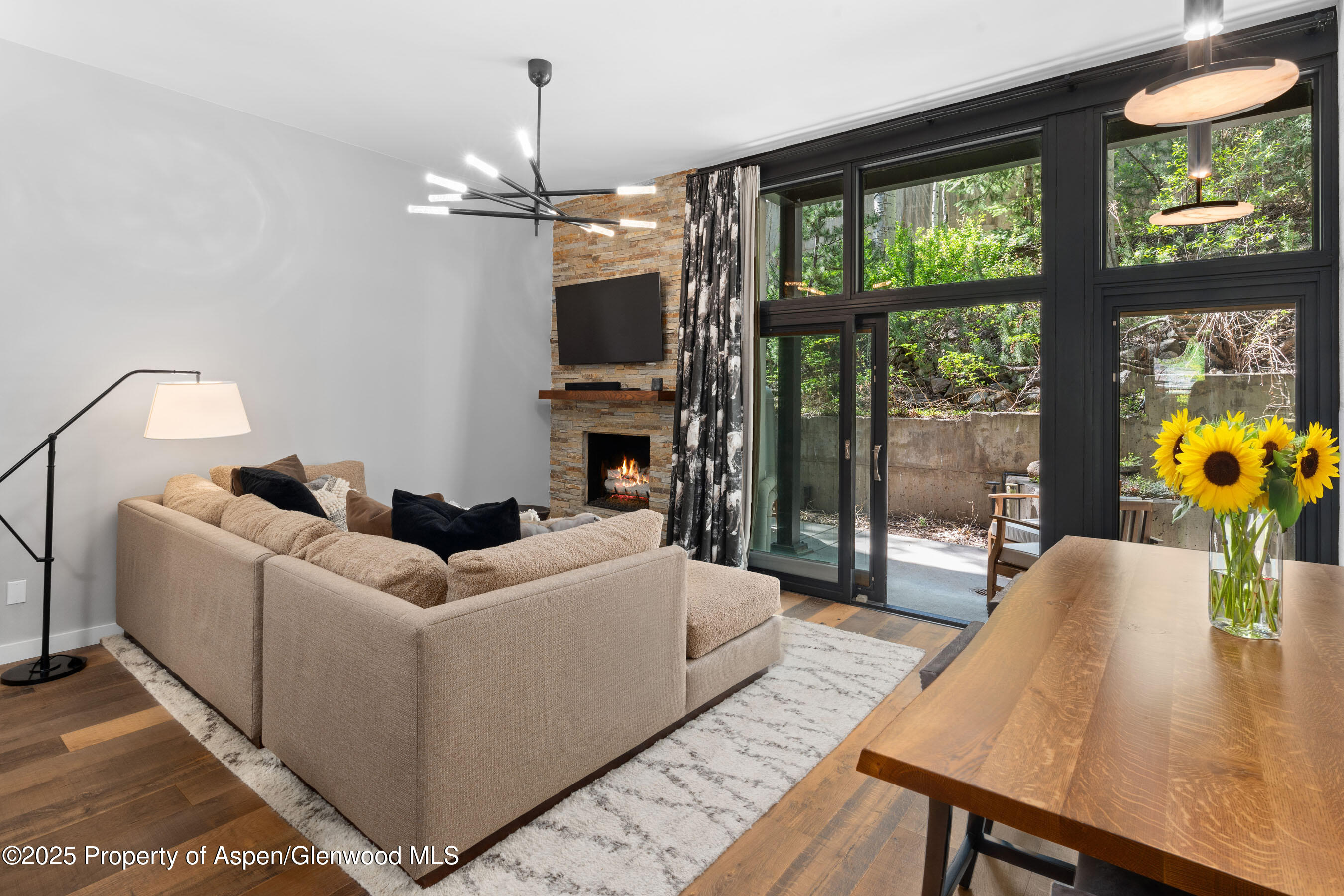 800 S Mill Street Aspen CO 81611