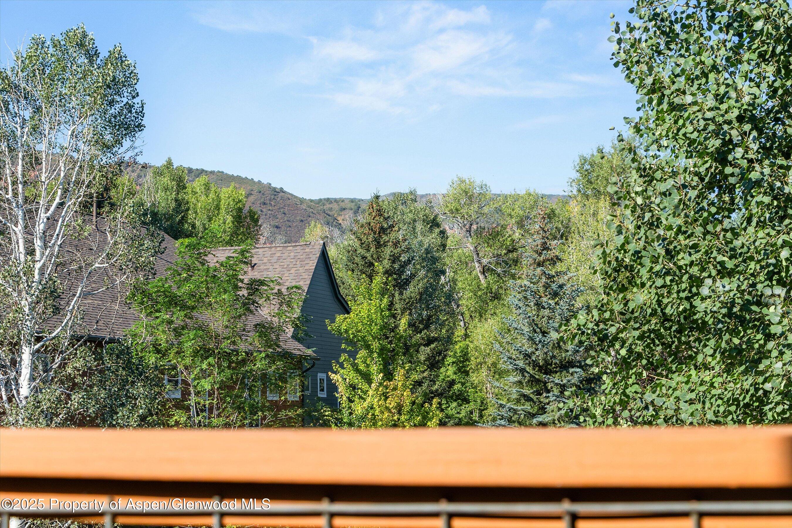 540 Evans Court Basalt CO 81621