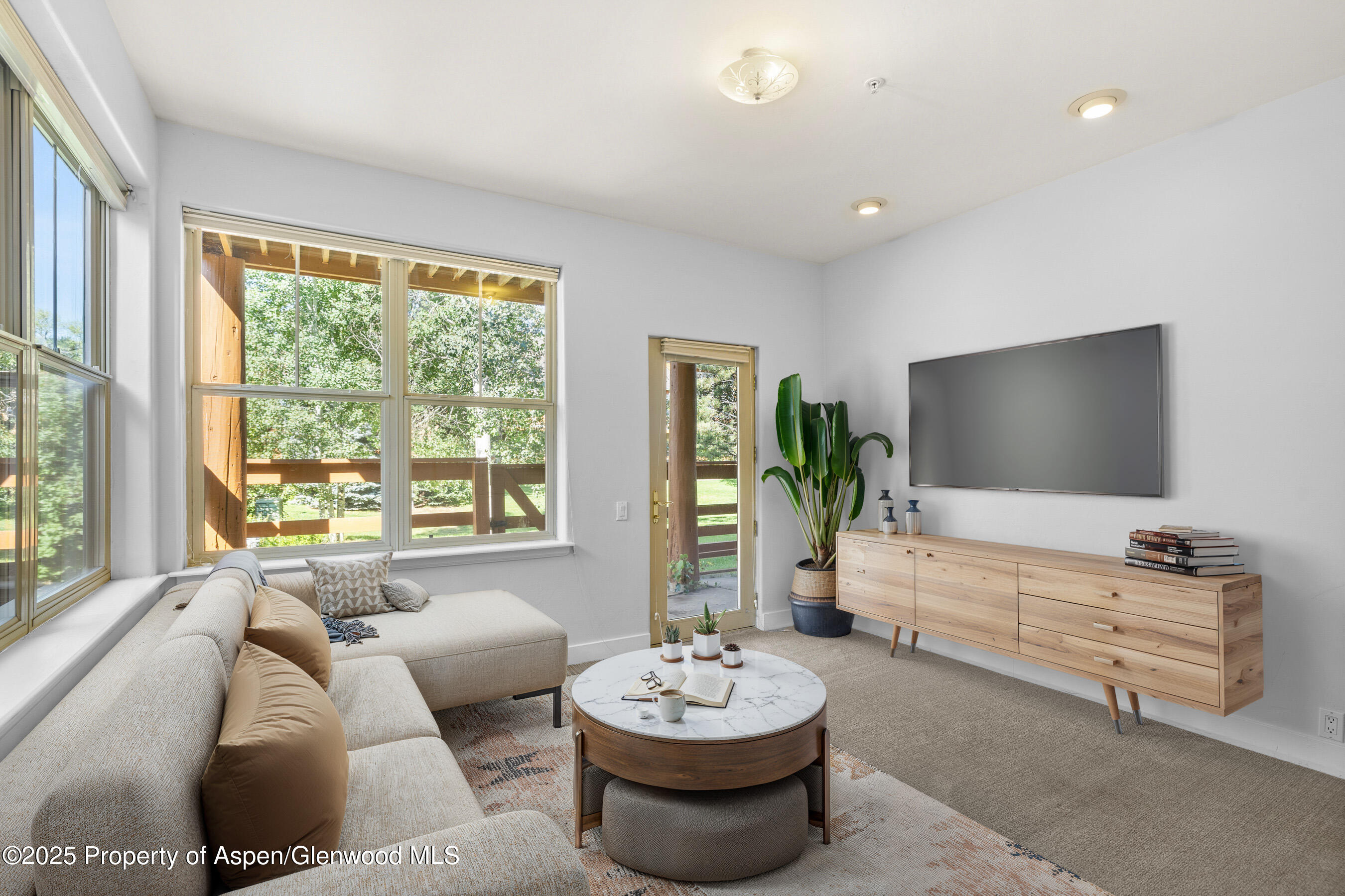 540 Evans Court Basalt CO 81621