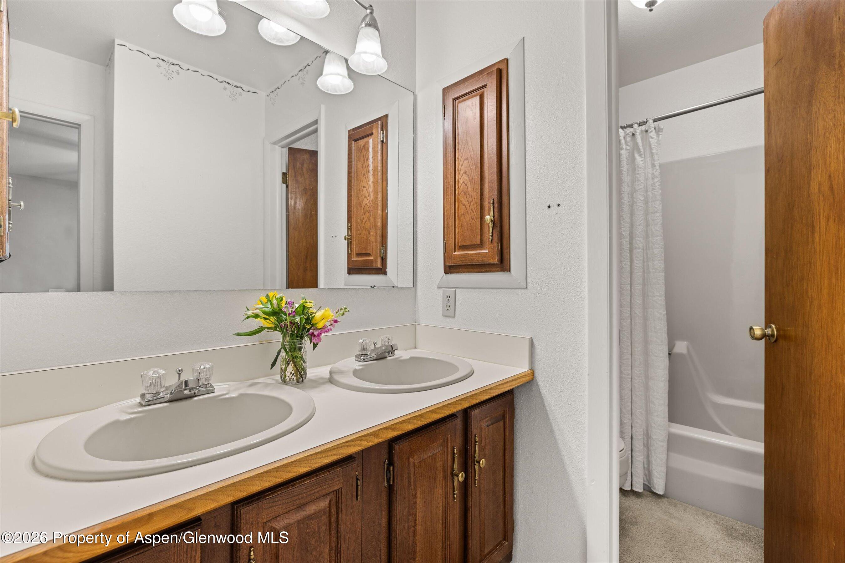 24 S Meadow View Court Glenwood Springs CO 81601
