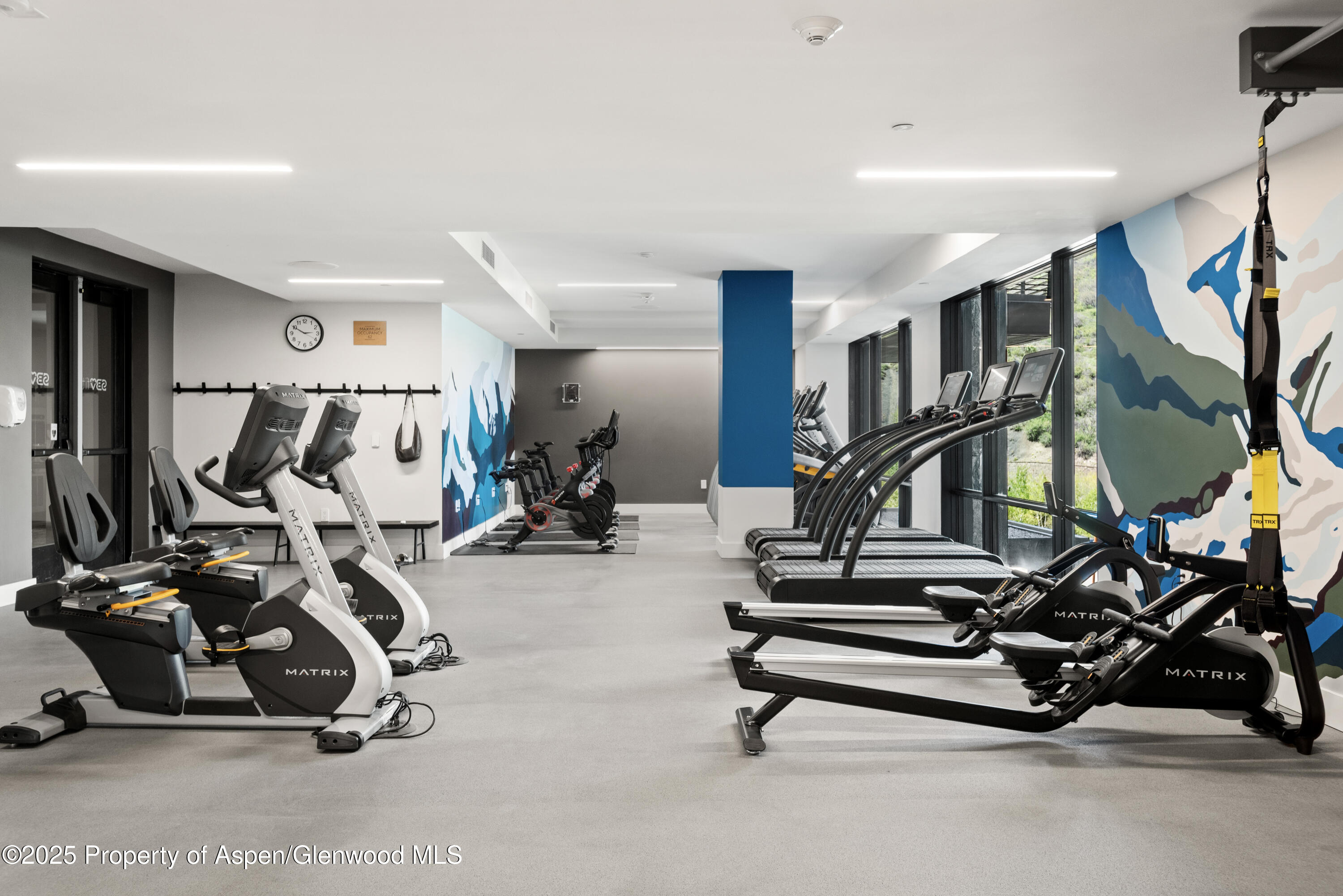 77 Wood Road Snowmass Village CO 81615