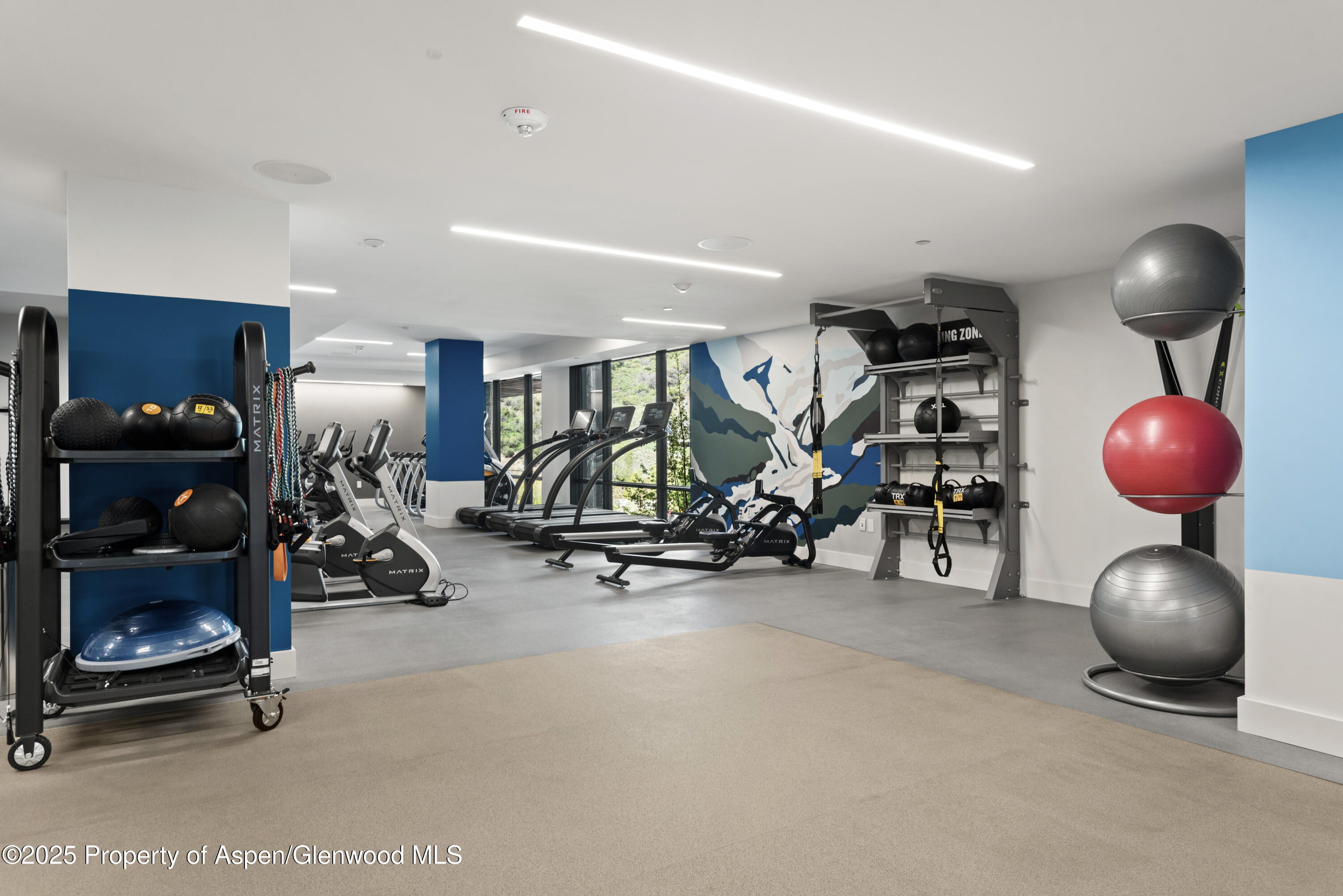 77 Wood Road Snowmass Village CO 81615