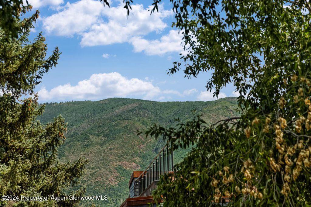 205 E Durant Avenue Aspen CO 81611