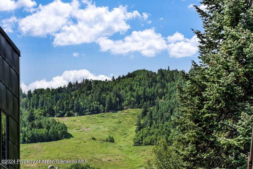 205 E Durant Avenue Aspen CO 81611