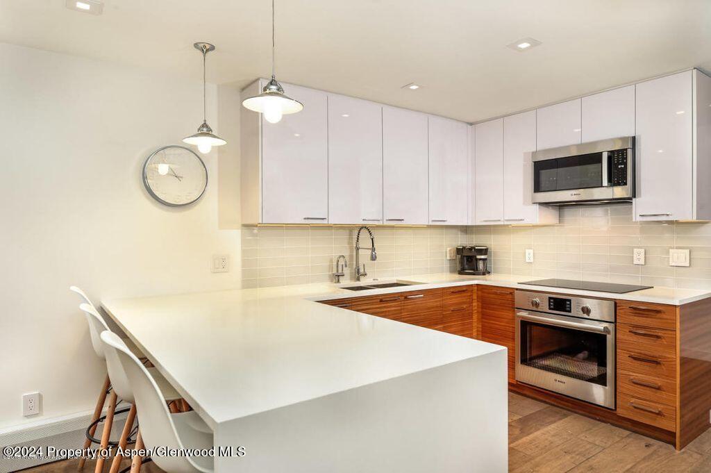 205 E Durant Avenue Aspen CO 81611