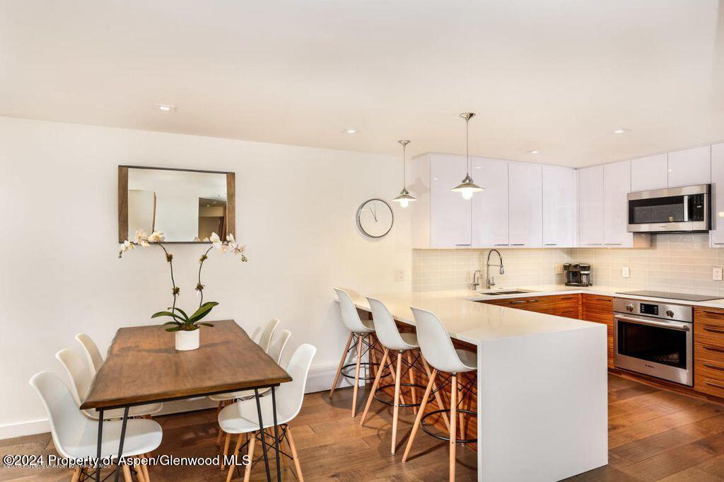 205 E Durant Avenue Aspen CO 81611