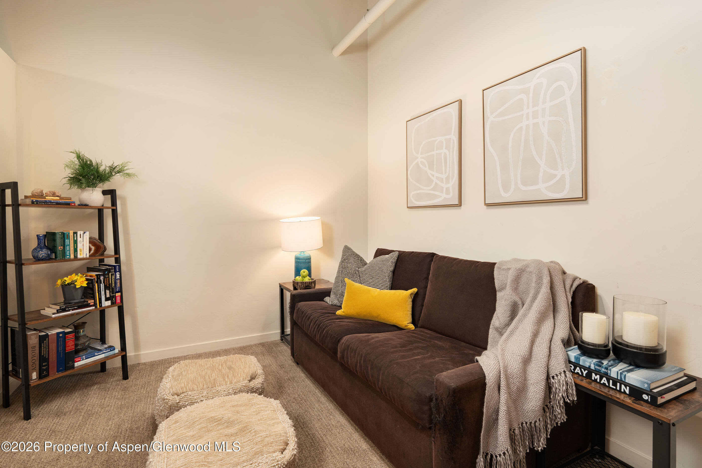 231 Robinson Street Basalt CO 81621