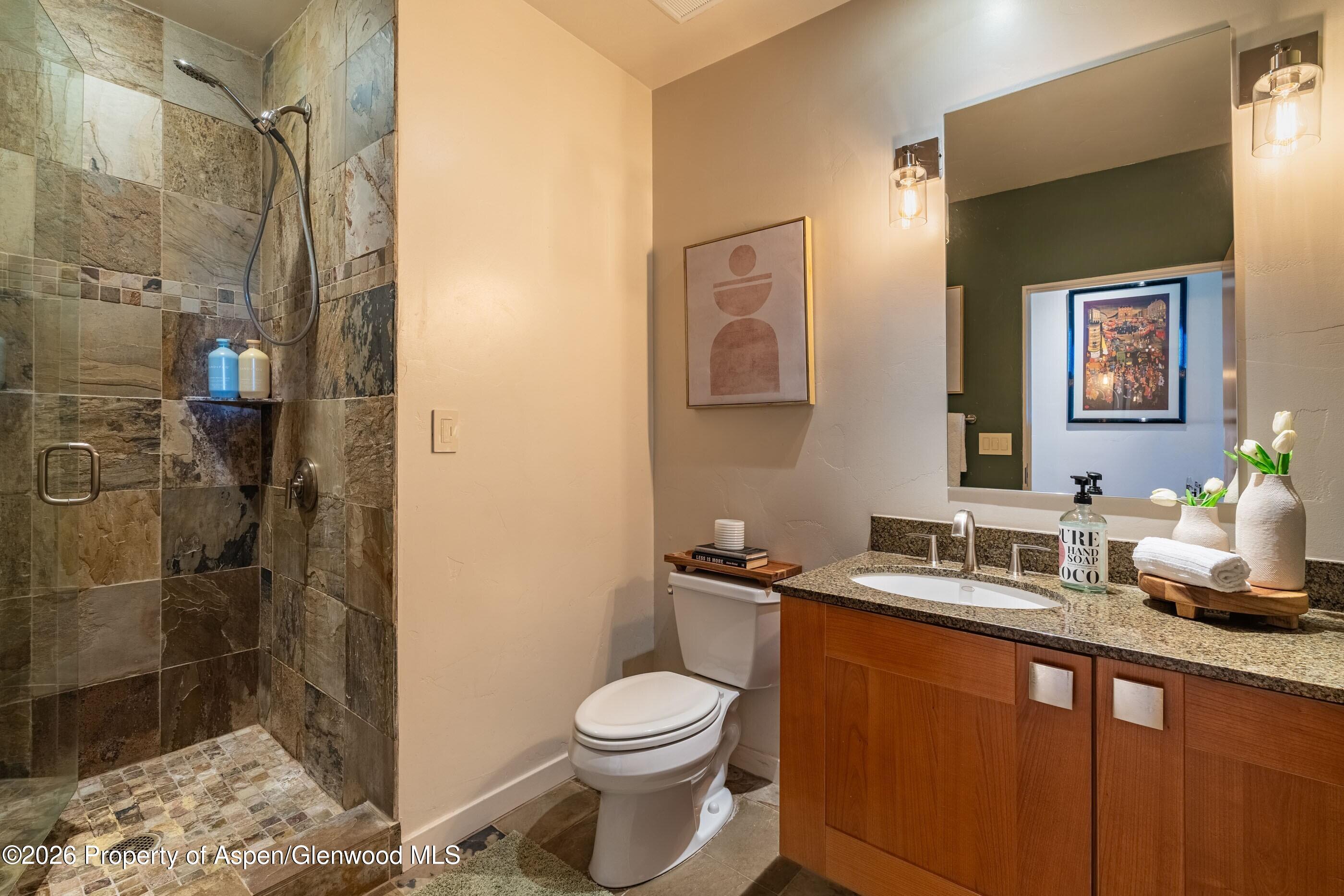 231 Robinson Street Basalt CO 81621