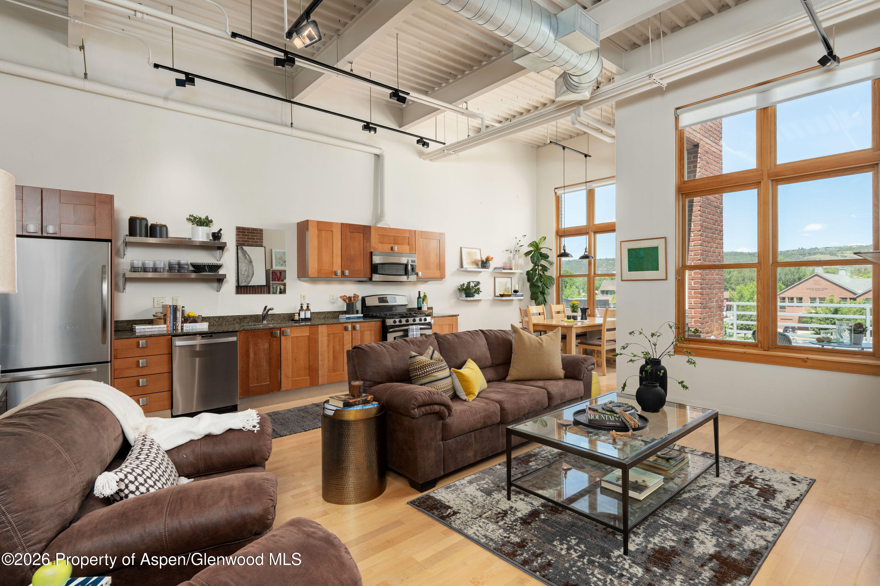231 Robinson Street Basalt CO 81621