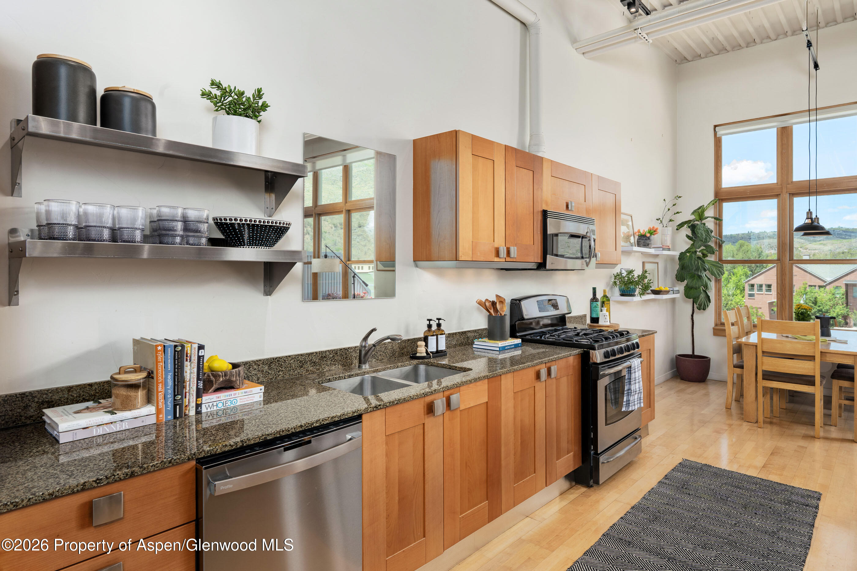 231 Robinson Street Basalt CO 81621