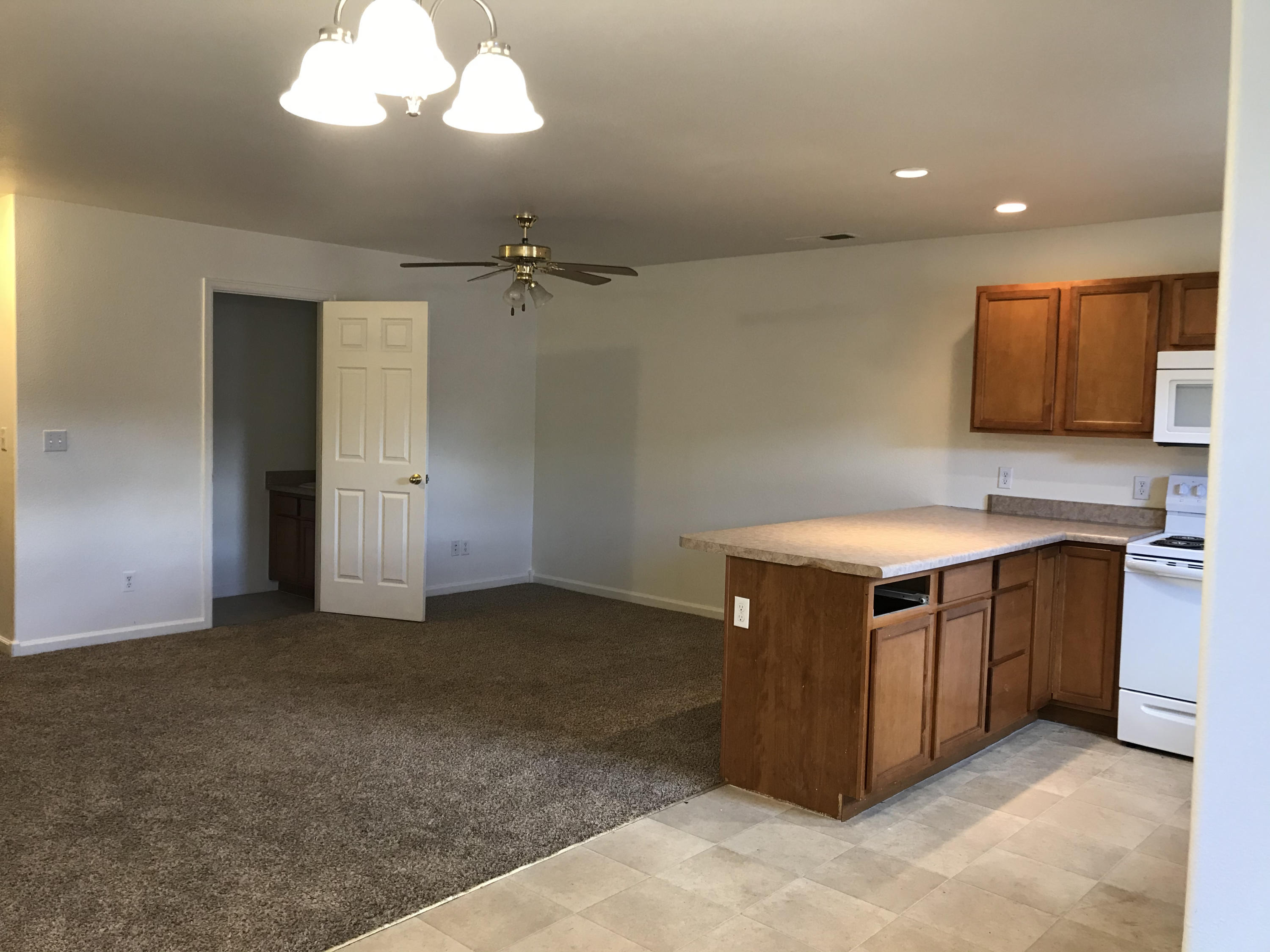 402 Yarrow Circle Parachute CO 81635