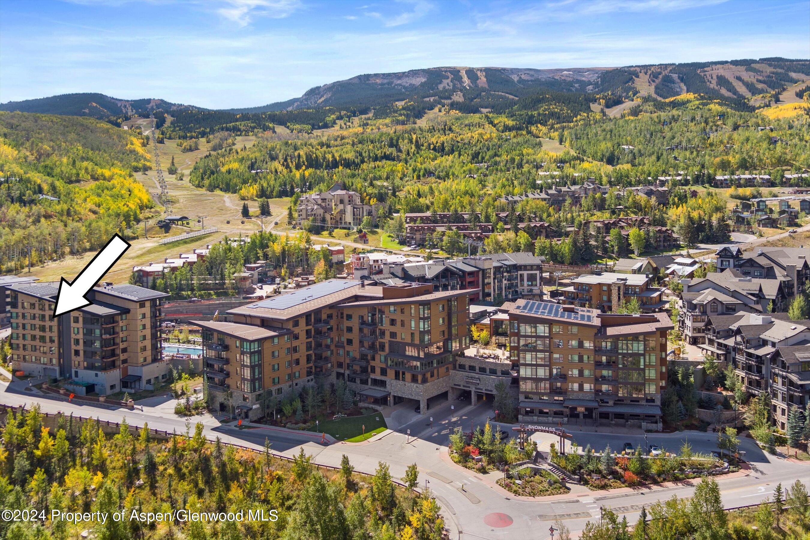 119 Wood Road Snowmass Village CO 81615