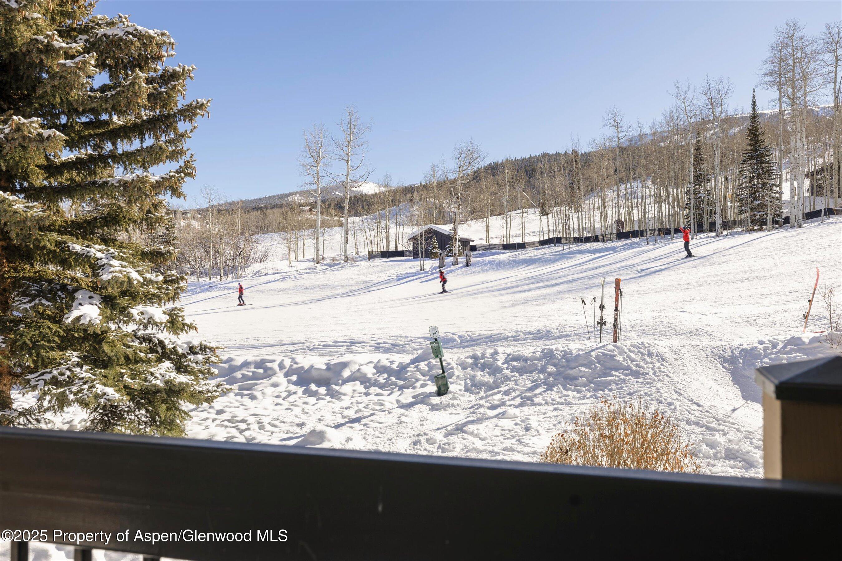 855 Carriage Way Snowmass Village CO 81615