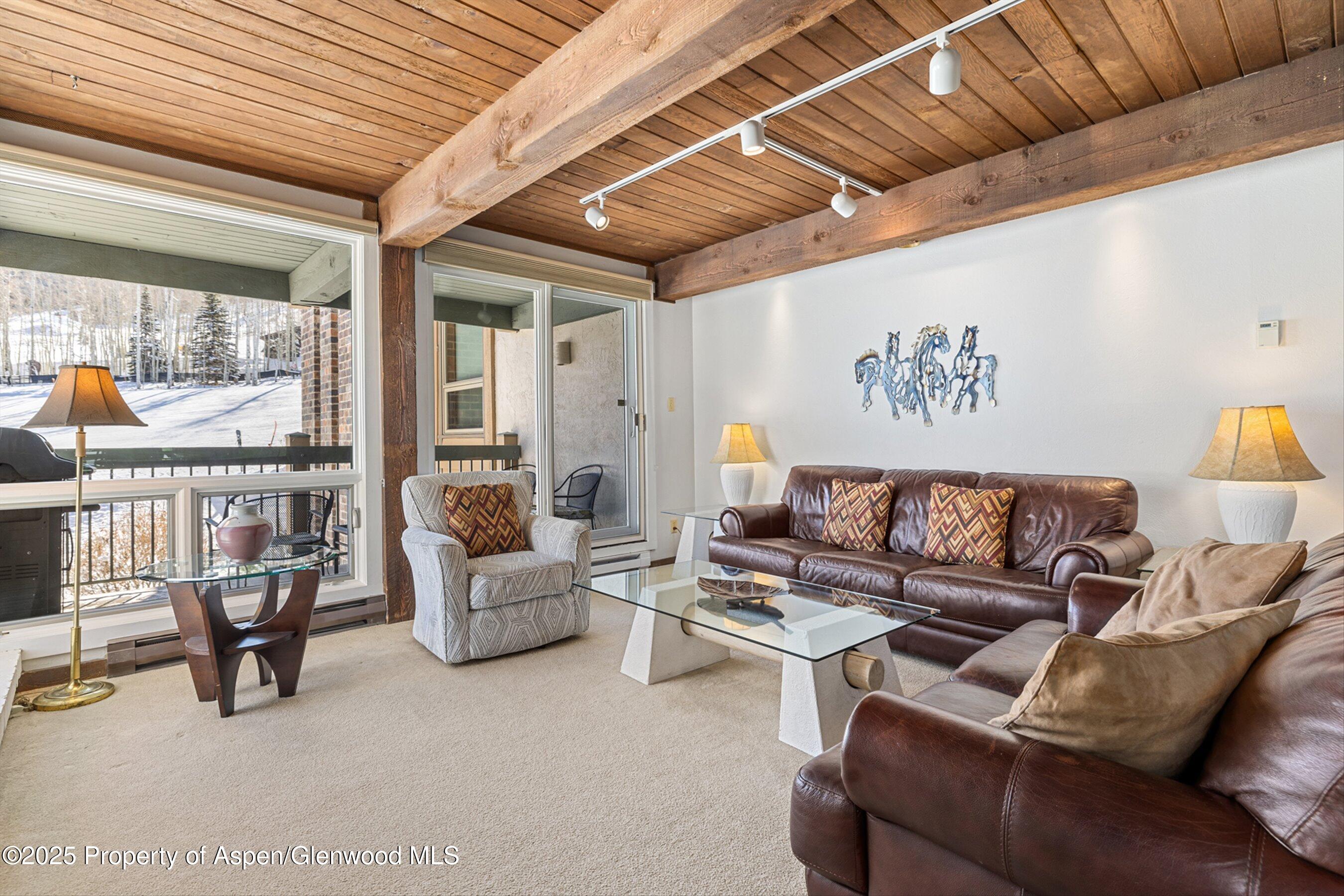 855 Carriage Way Snowmass Village CO 81615