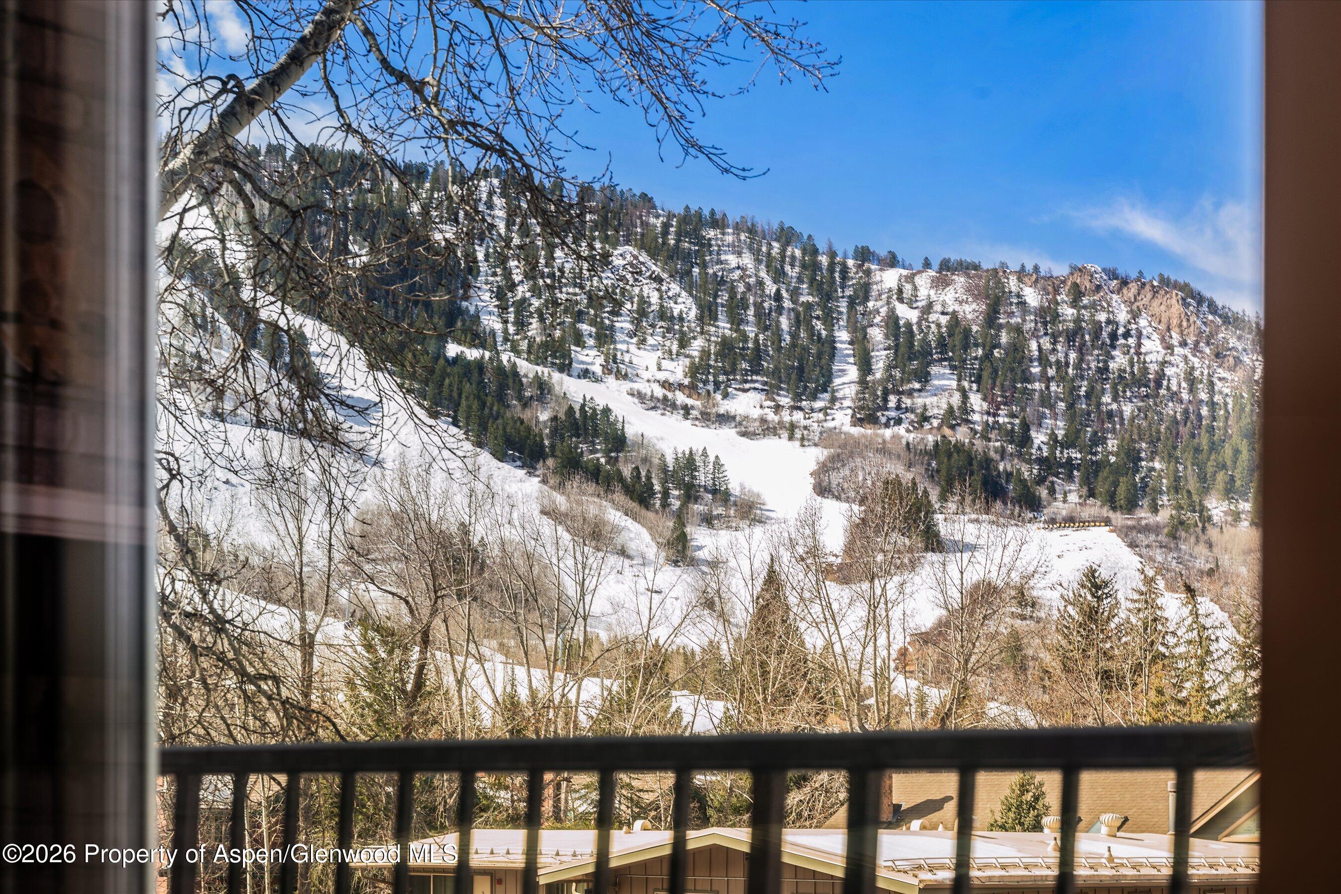 901 E Hyman Avenue Aspen CO 81611