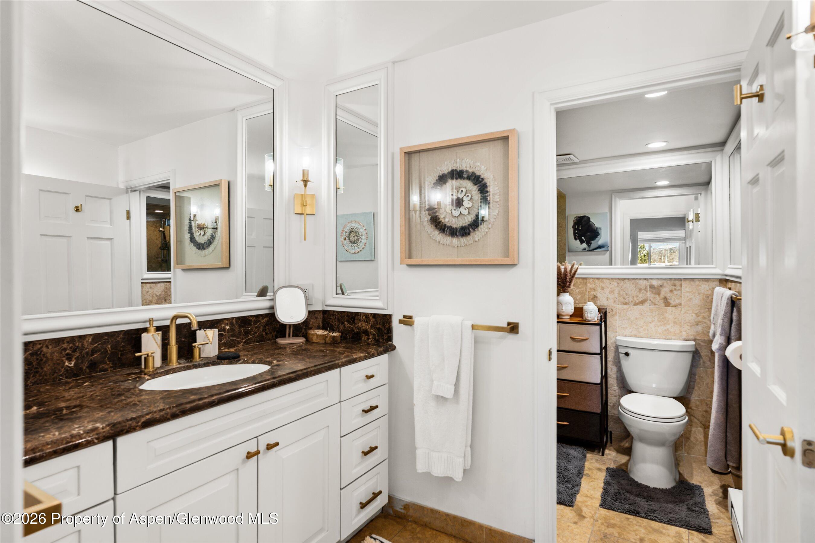 901 E Hyman Avenue Aspen CO 81611