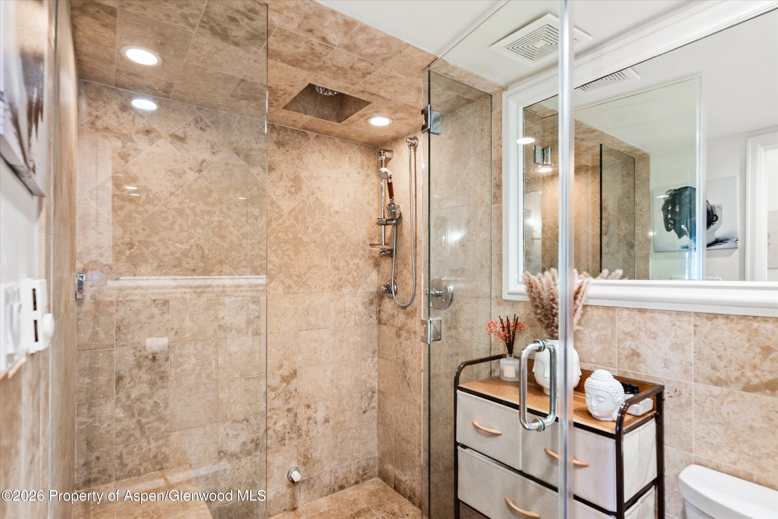 901 E Hyman Avenue Aspen CO 81611