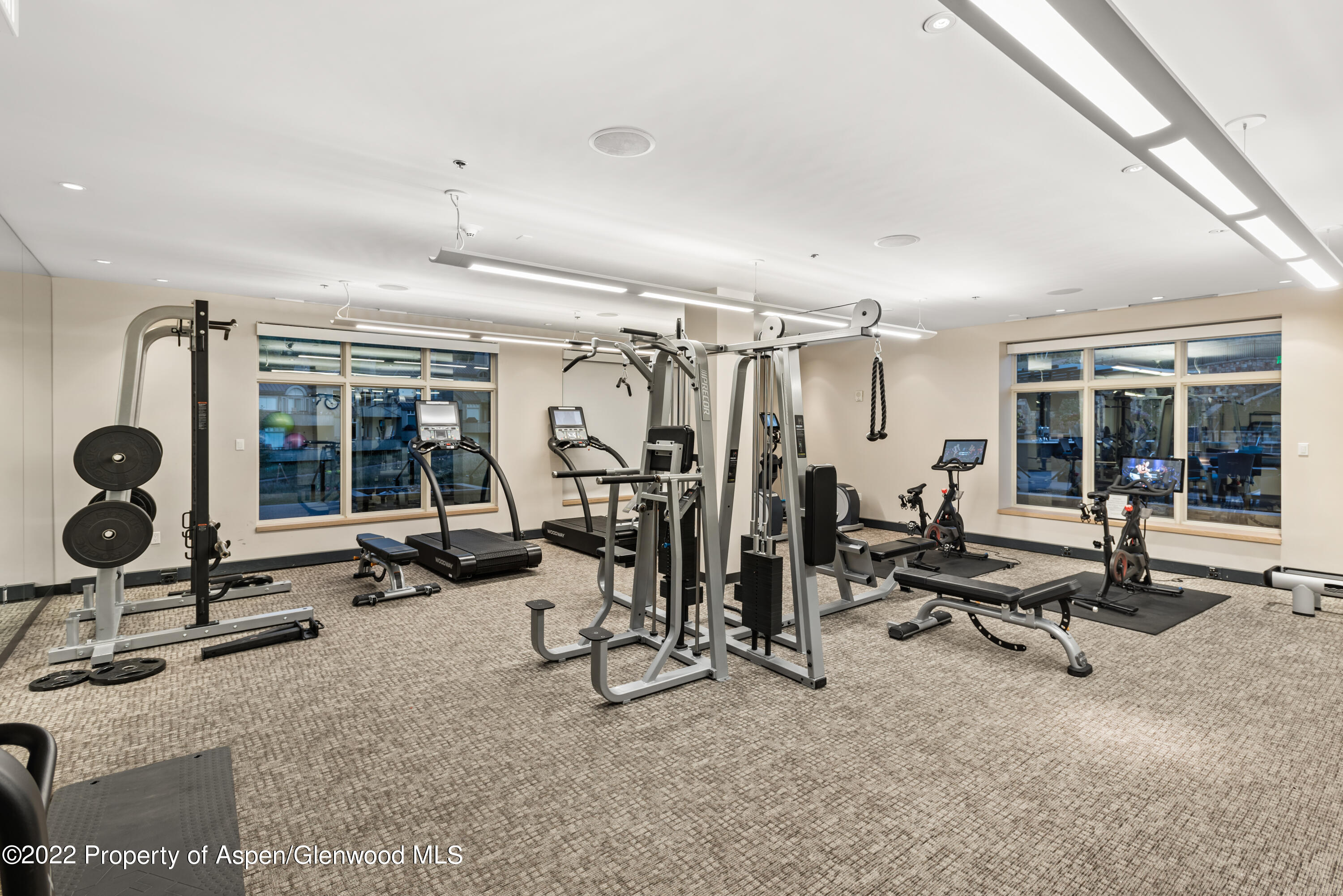 130 Wood Road Snowmass Village CO 81615