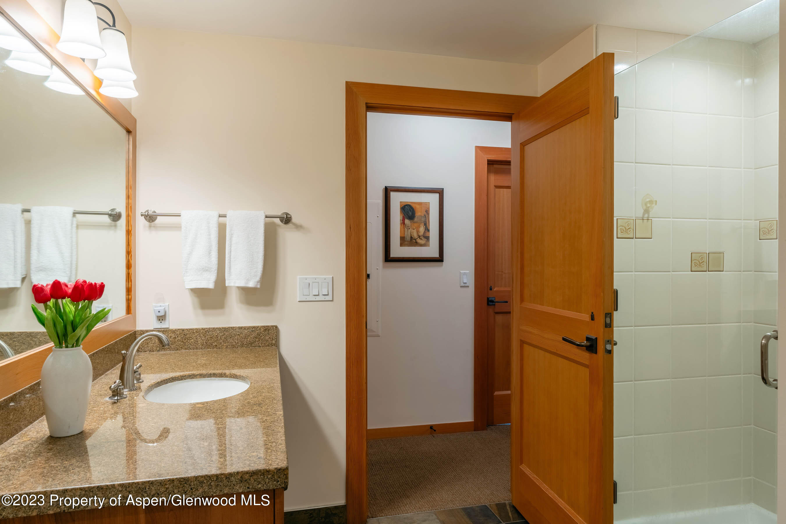 110 Carriage Way Snowmass Village CO 81615