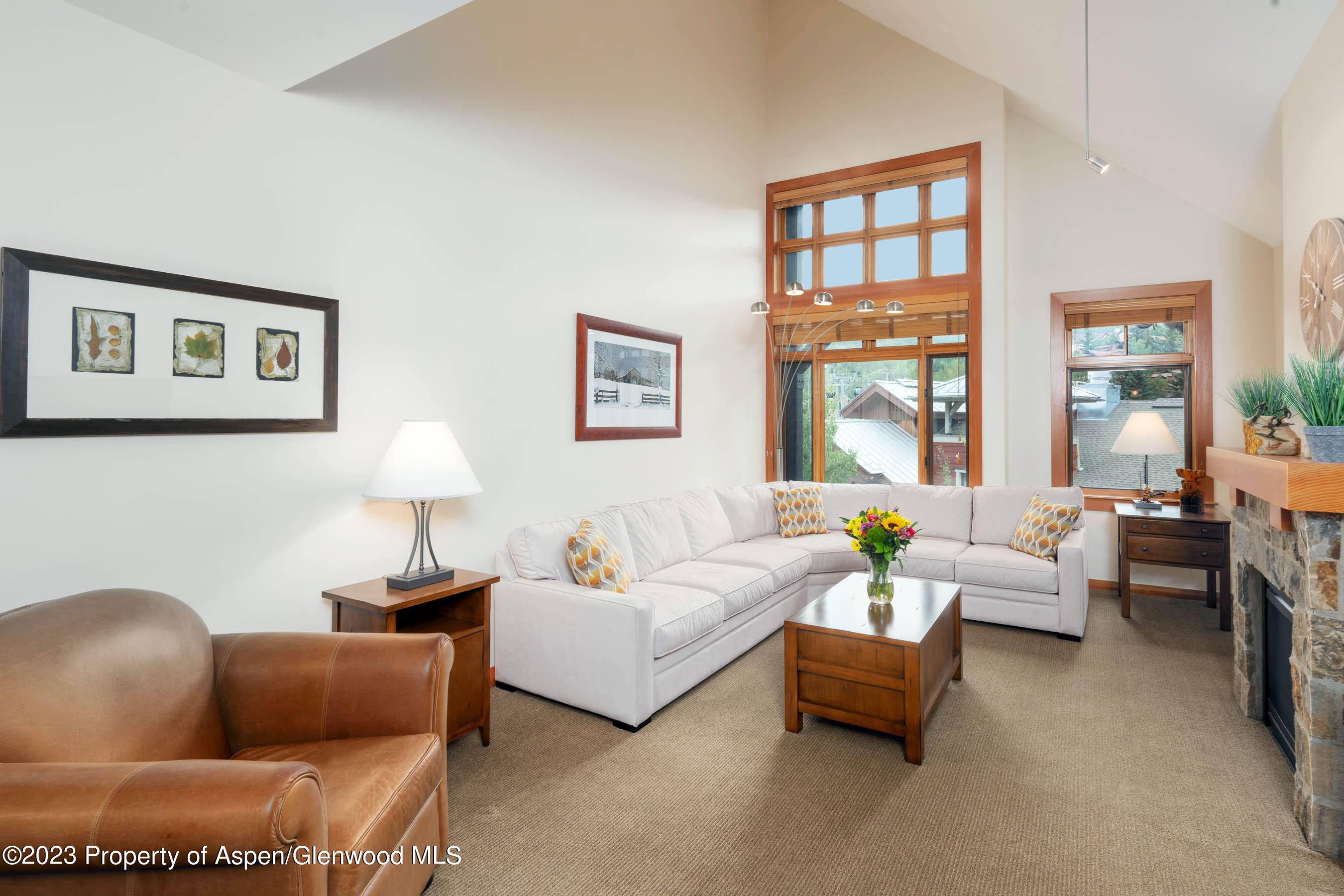 110 Carriage Way Snowmass Village CO 81615