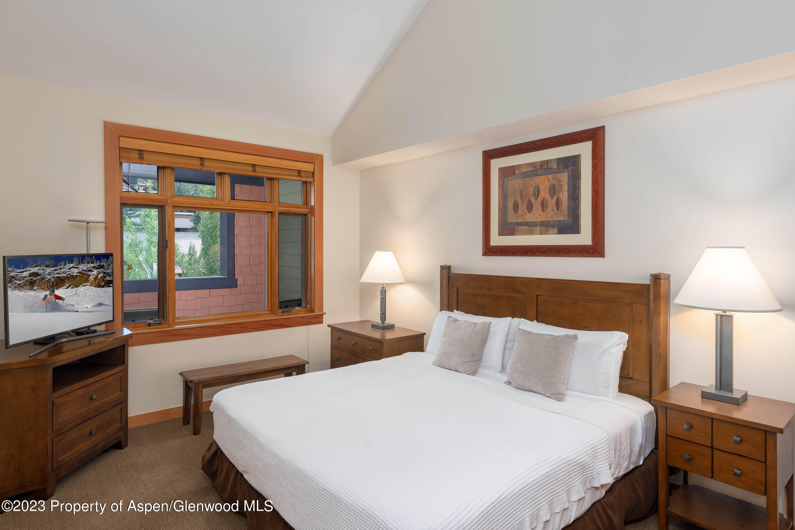 110 Carriage Way Snowmass Village CO 81615