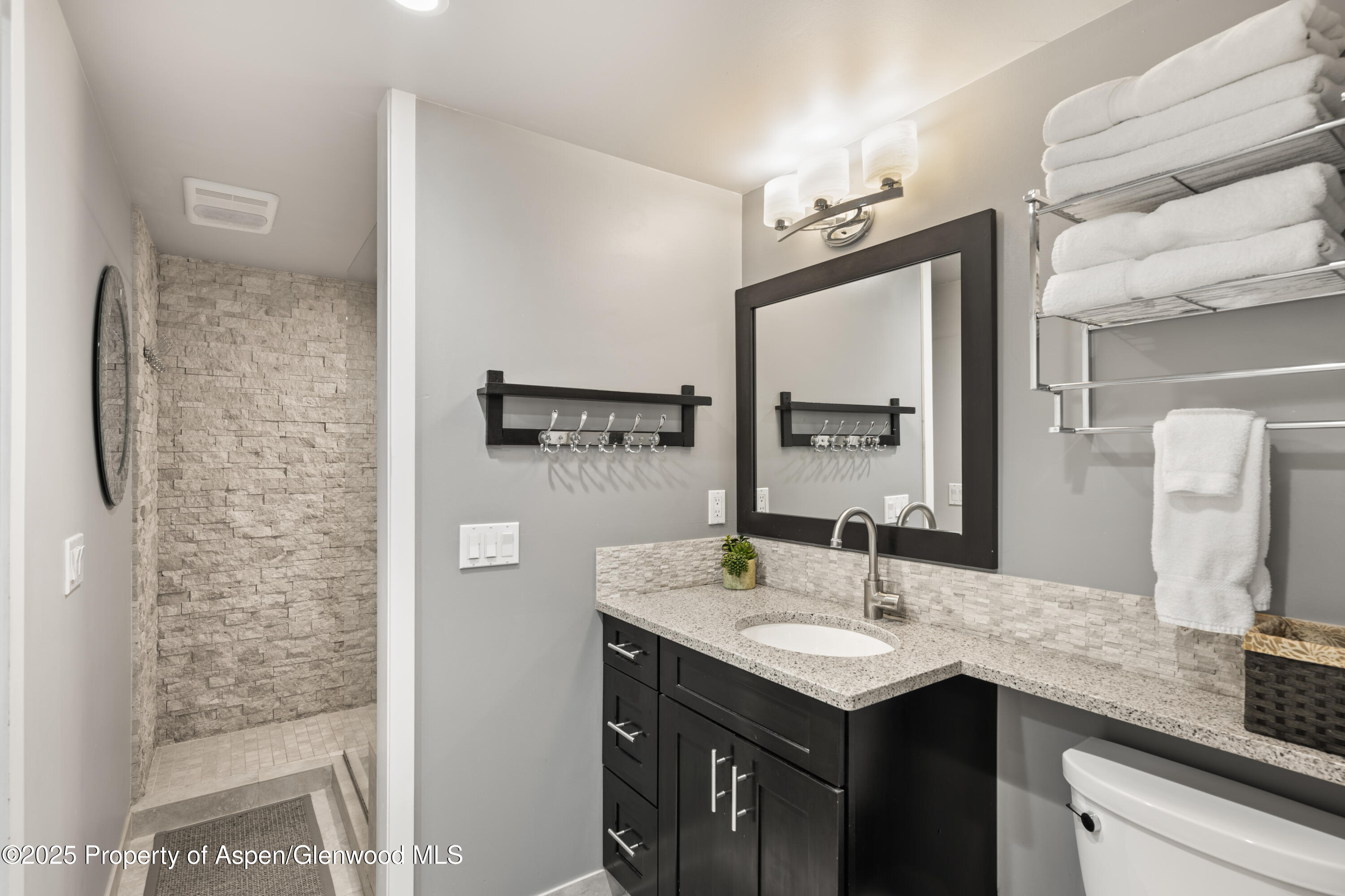 711 S Galena Street Aspen CO 81611