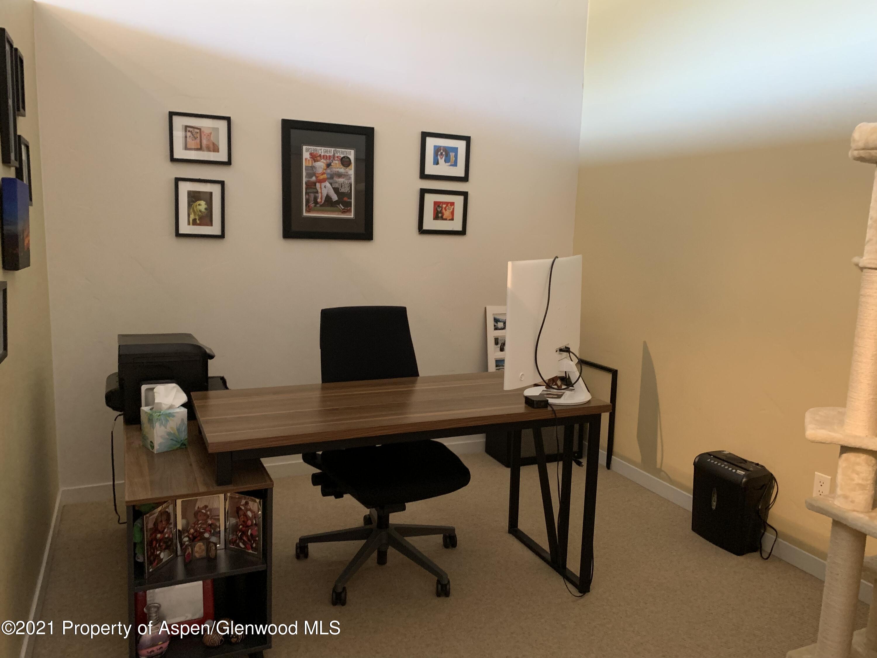 231 Robinson Street Basalt CO 81621