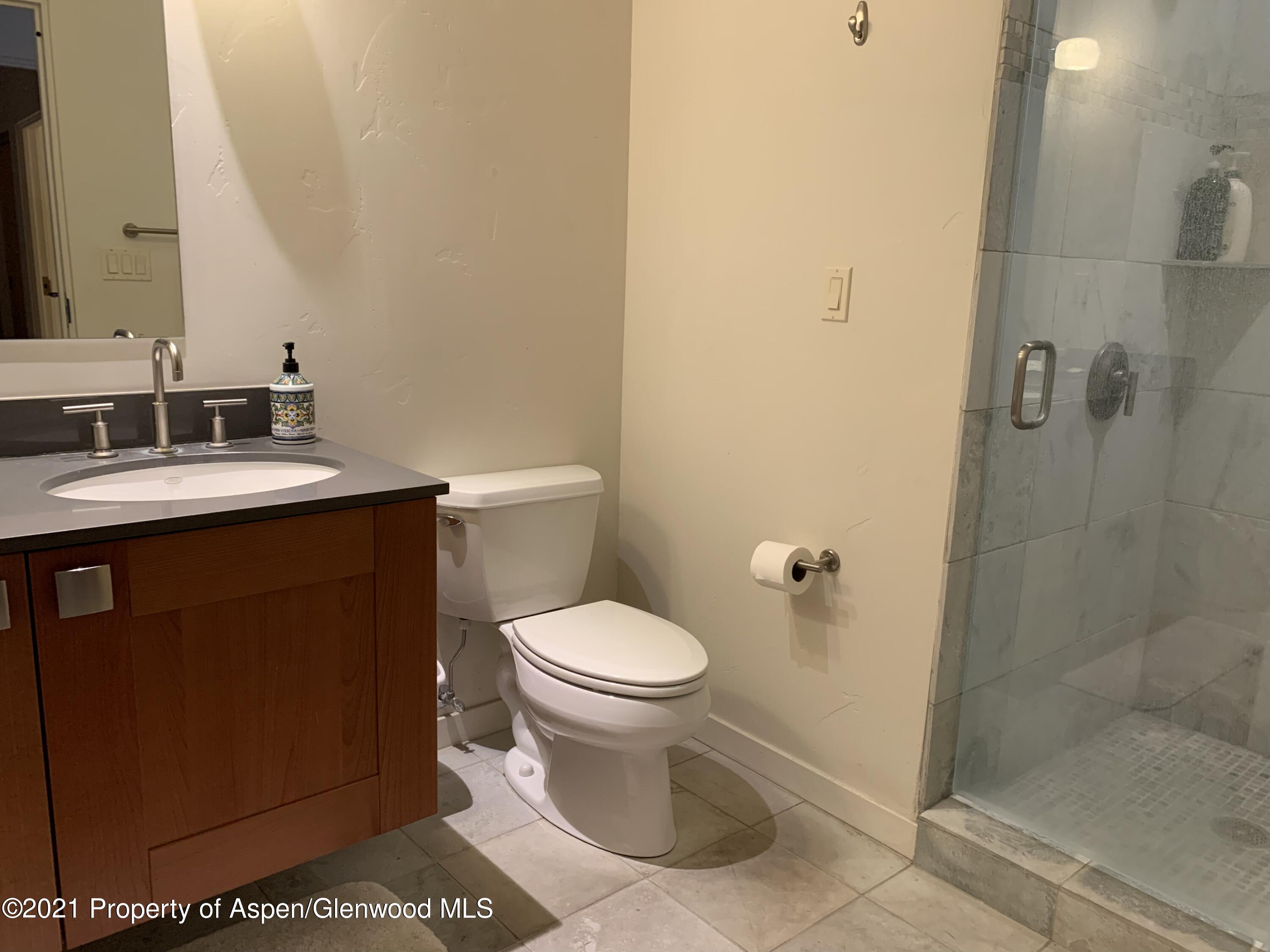 231 Robinson Street Basalt CO 81621