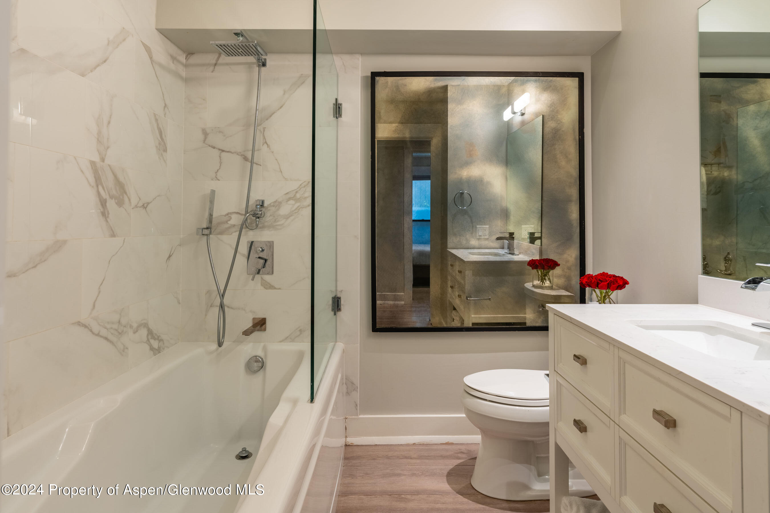 980 E Hyman Avenue Aspen CO 81611