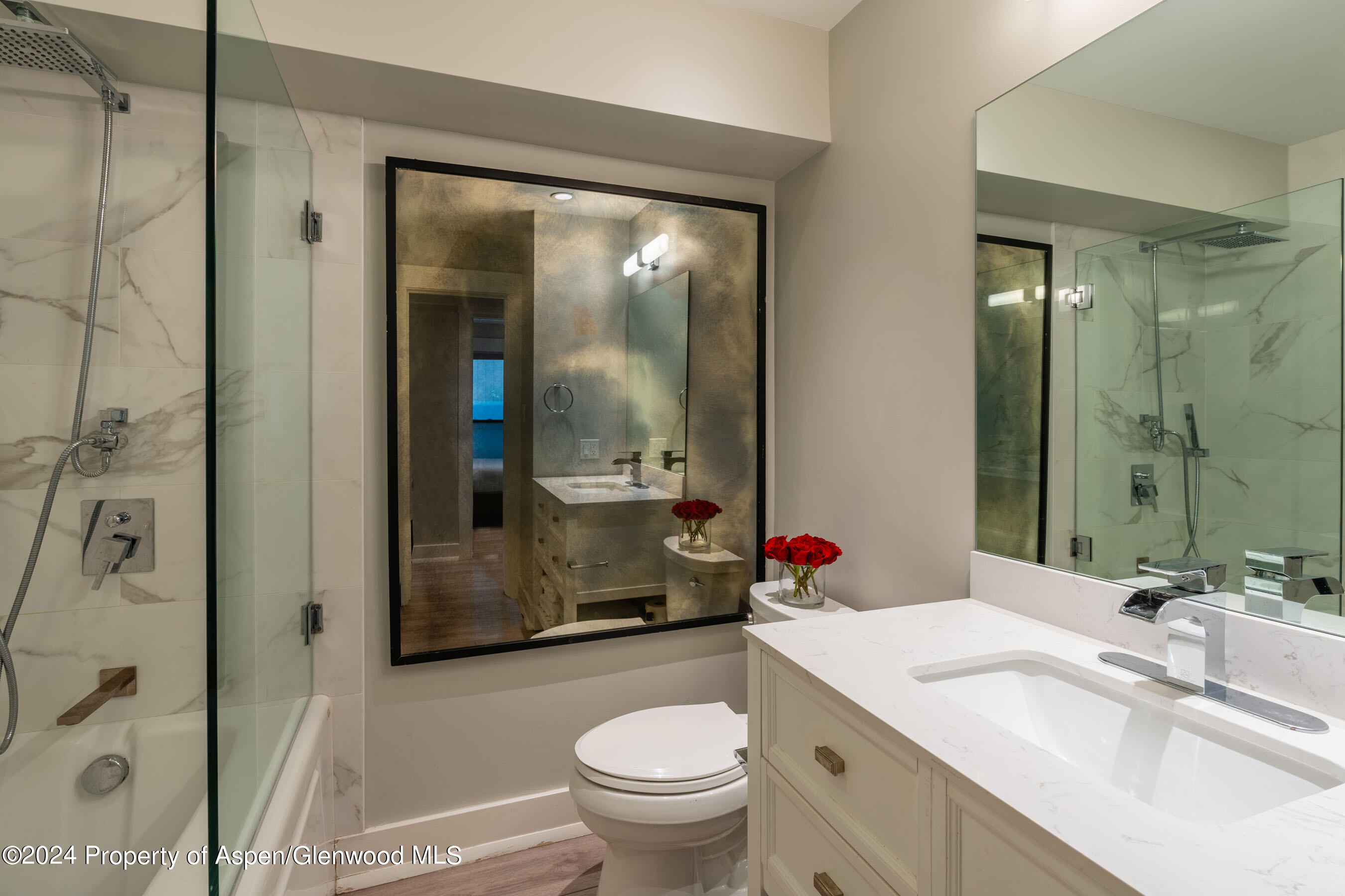 980 E Hyman Avenue Aspen CO 81611