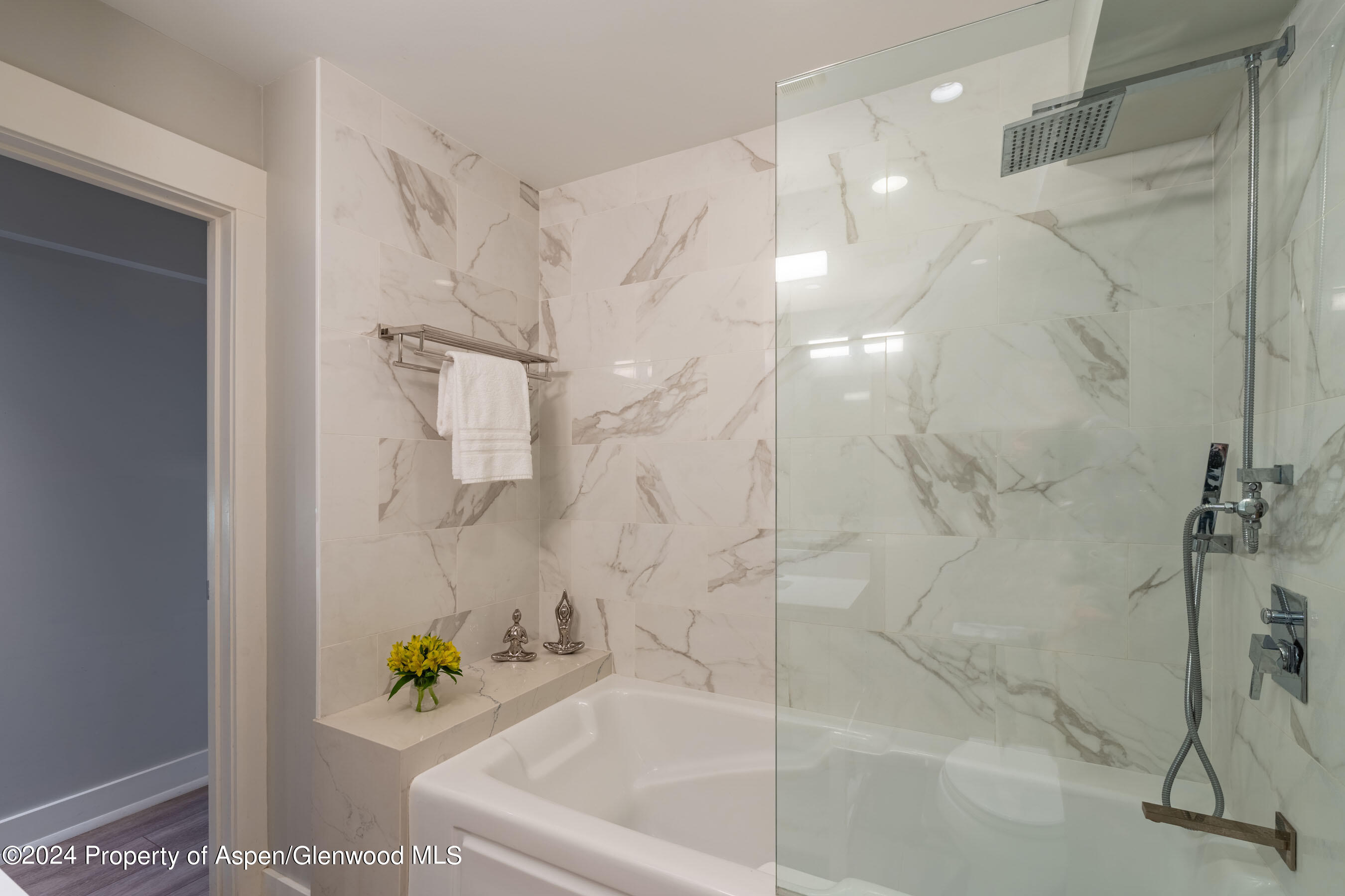 980 E Hyman Avenue Aspen CO 81611