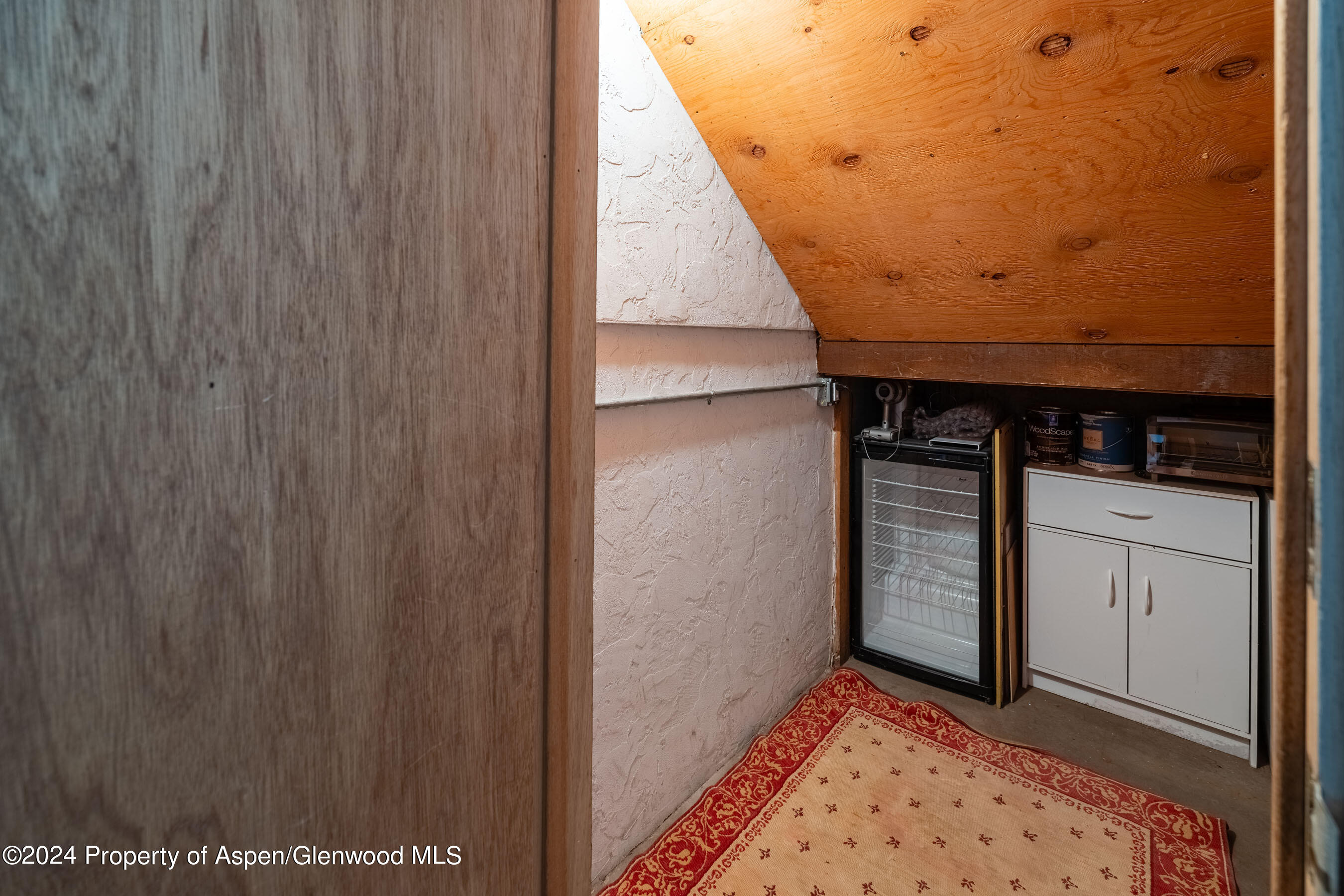 980 E Hyman Avenue Aspen CO 81611