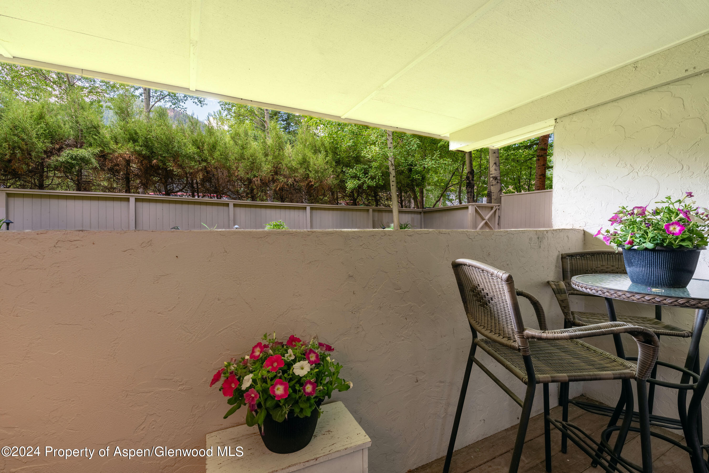 980 E Hyman Avenue Aspen CO 81611