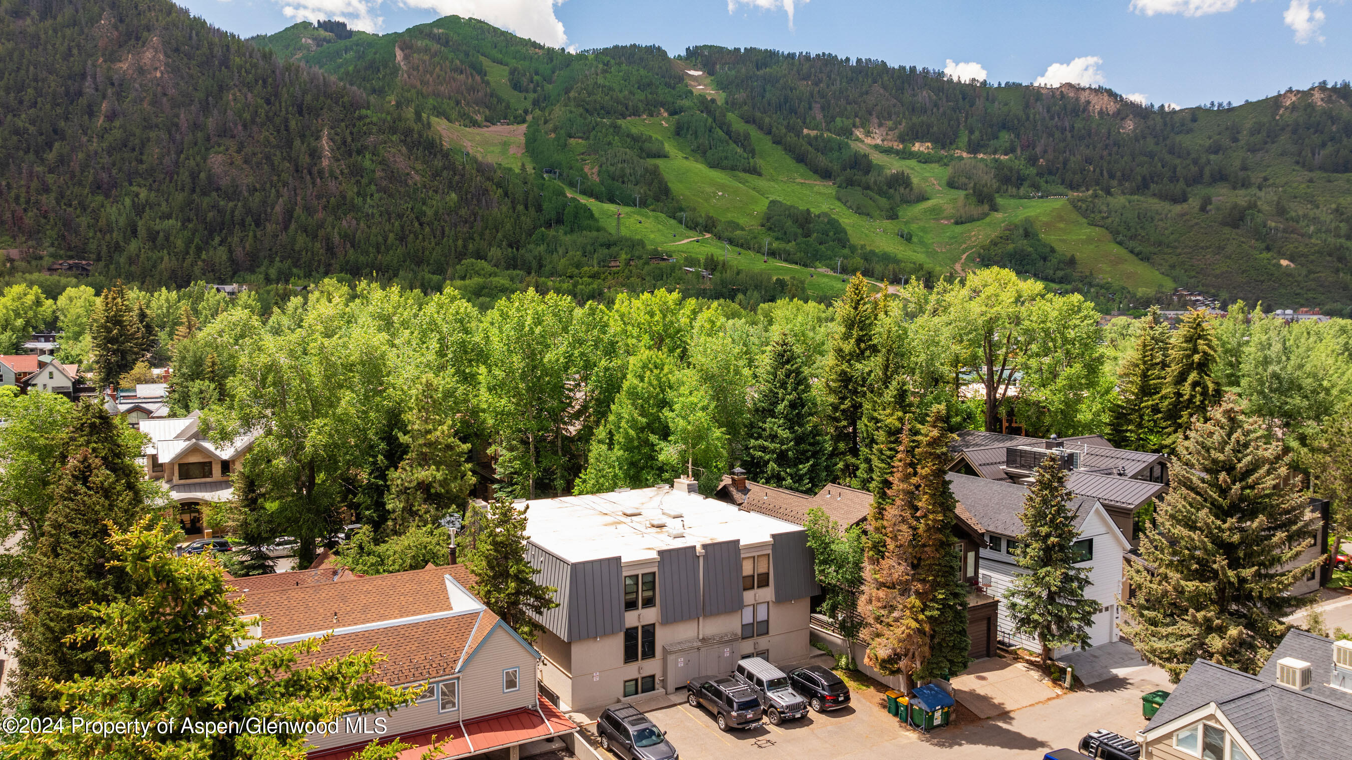 980 E Hyman Avenue Aspen CO 81611