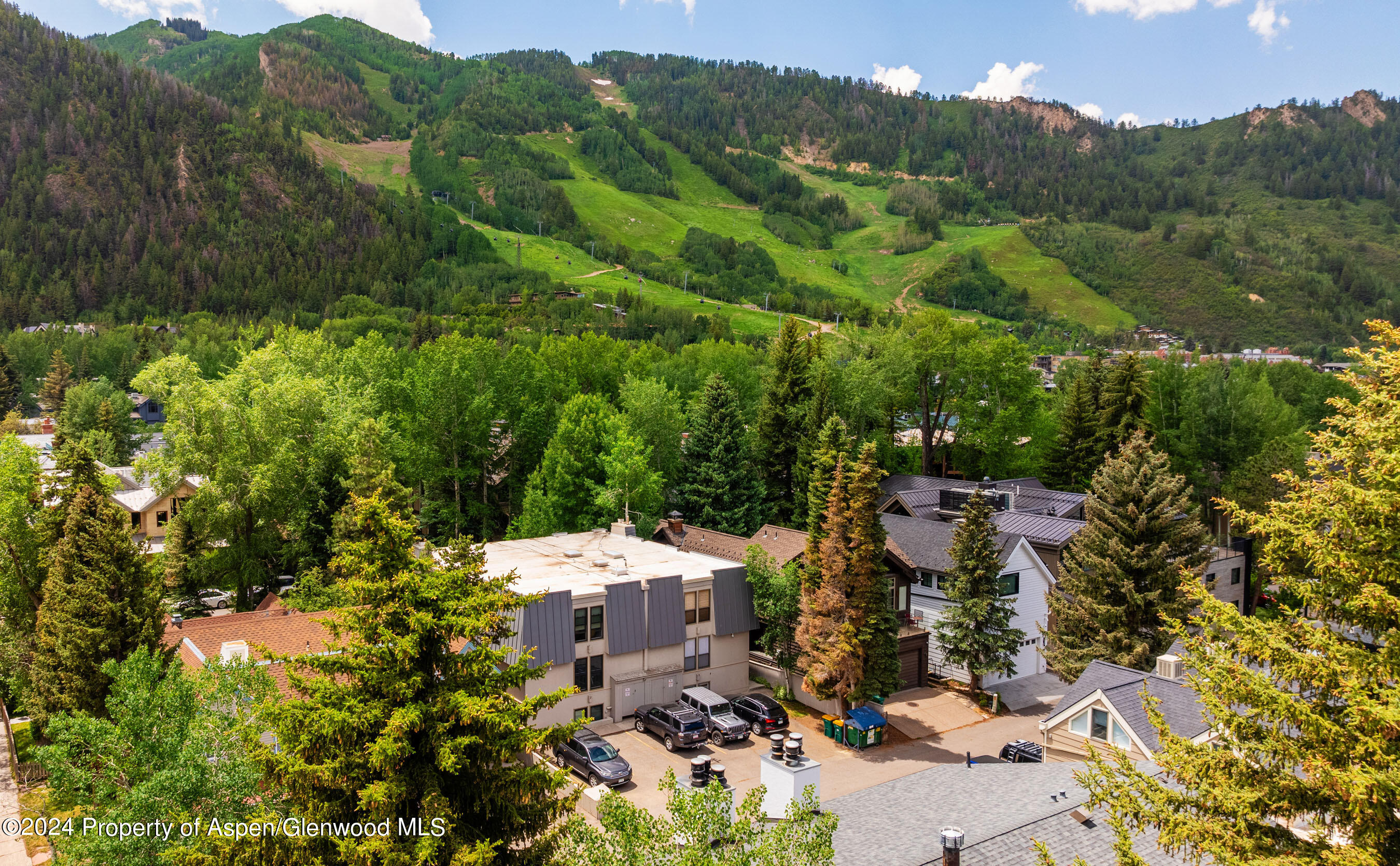 980 E Hyman Avenue Aspen CO 81611