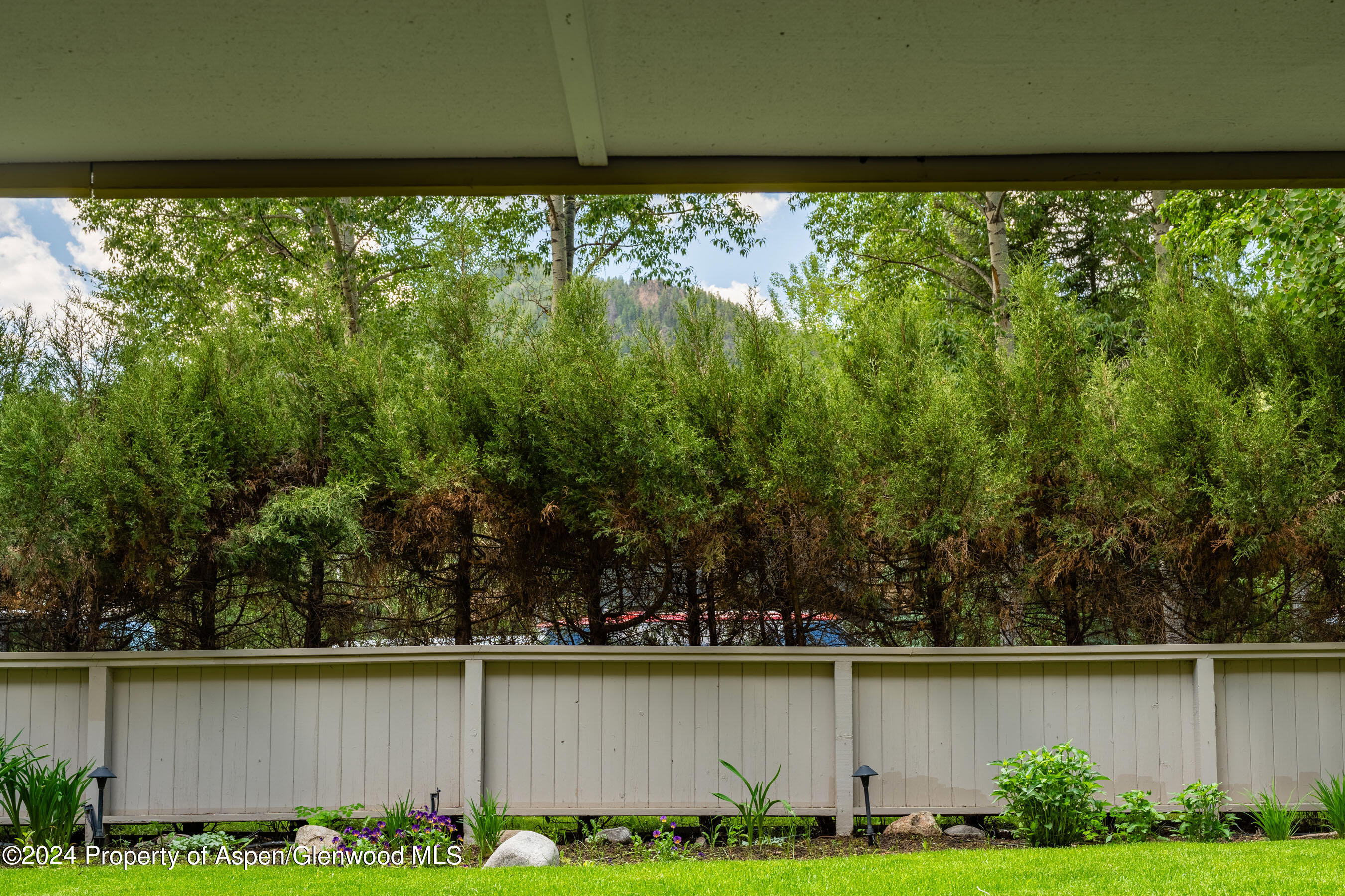 980 E Hyman Avenue Aspen CO 81611