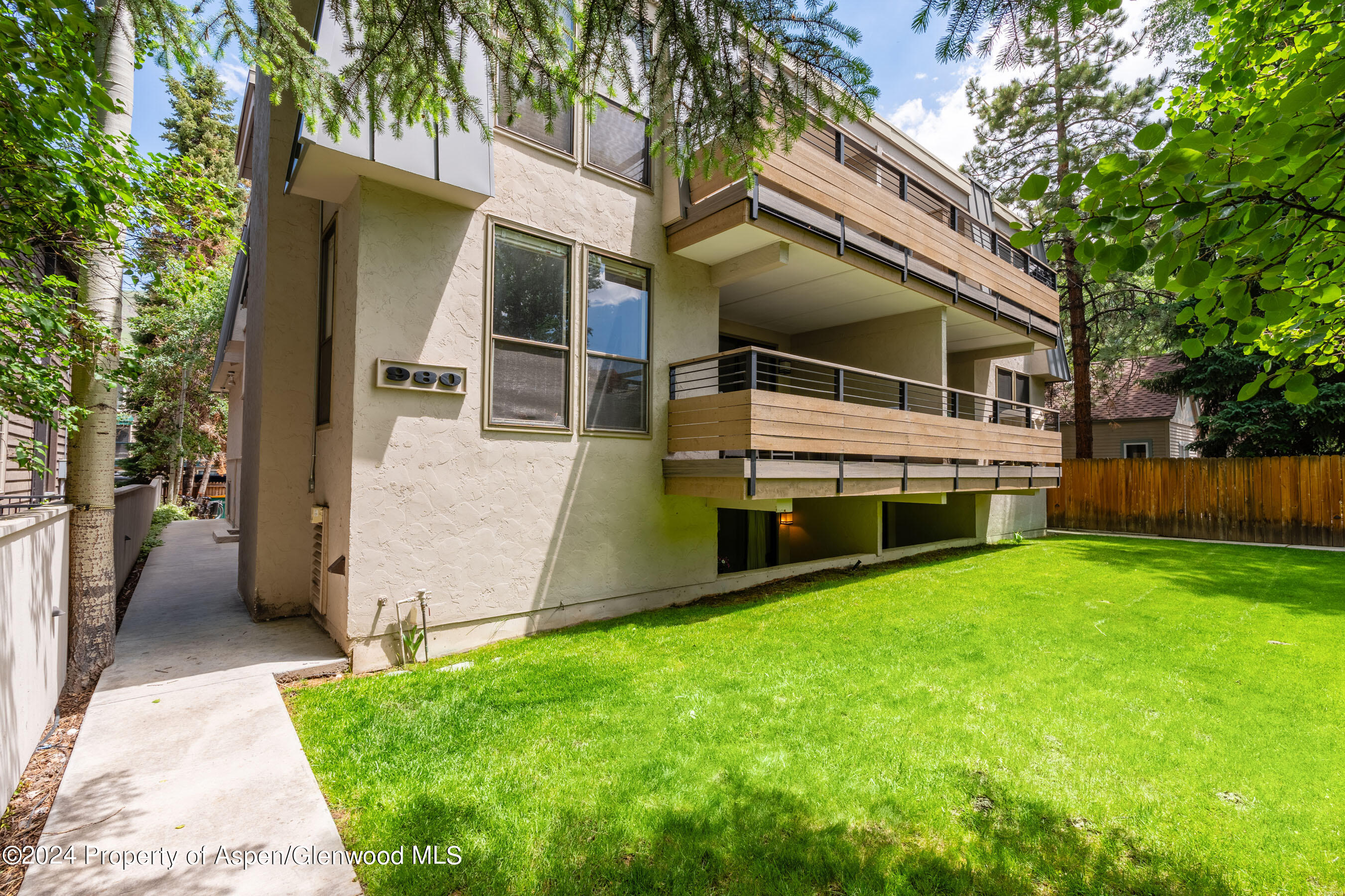 980 E Hyman Avenue Aspen CO 81611