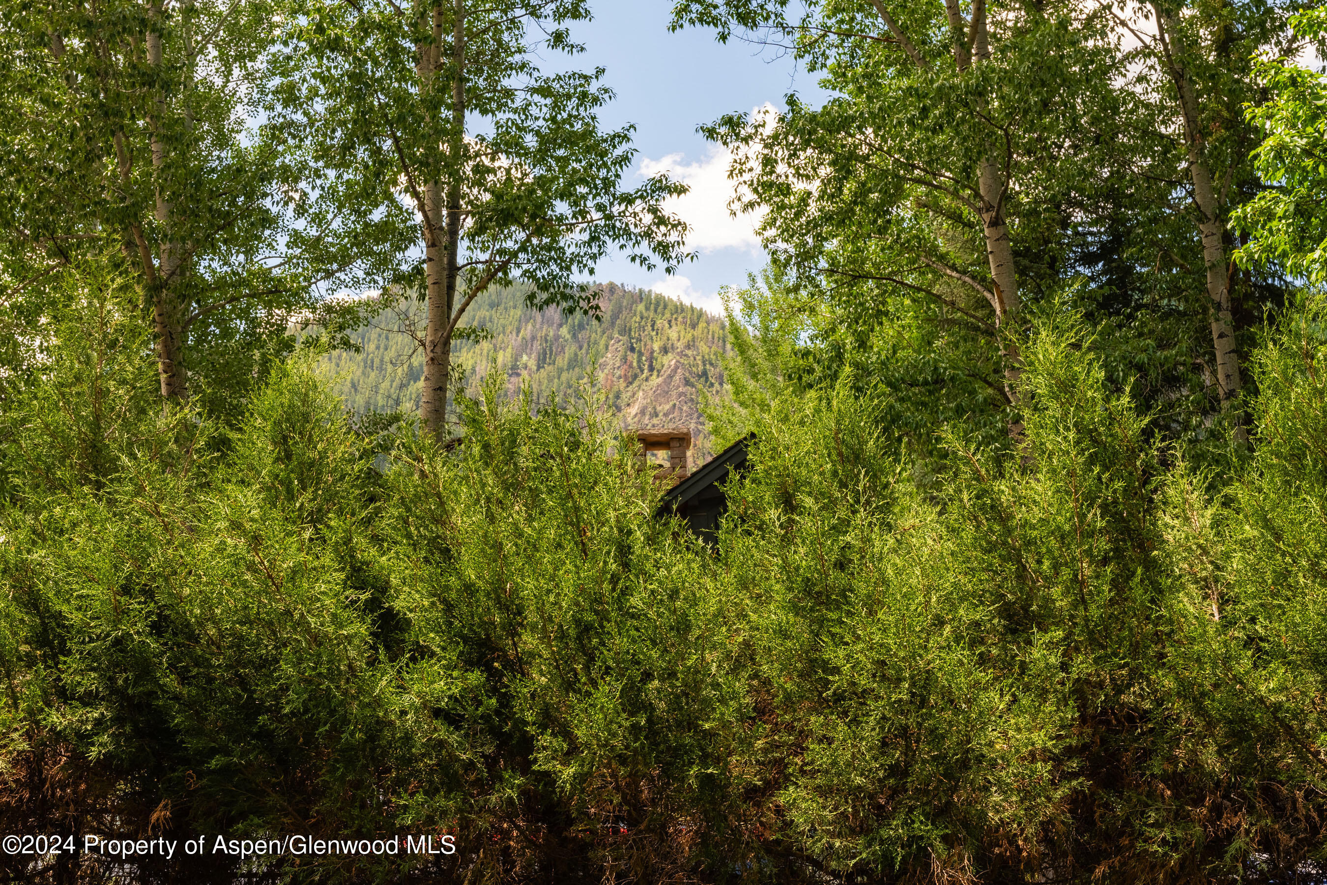 980 E Hyman Avenue Aspen CO 81611