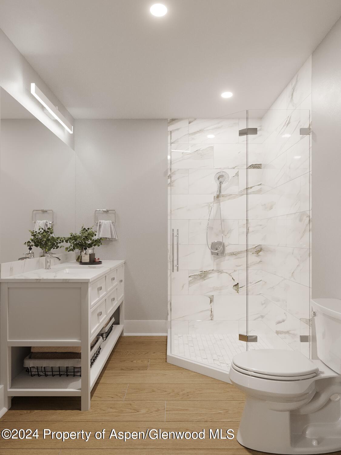 980 E Hyman Avenue Aspen CO 81611