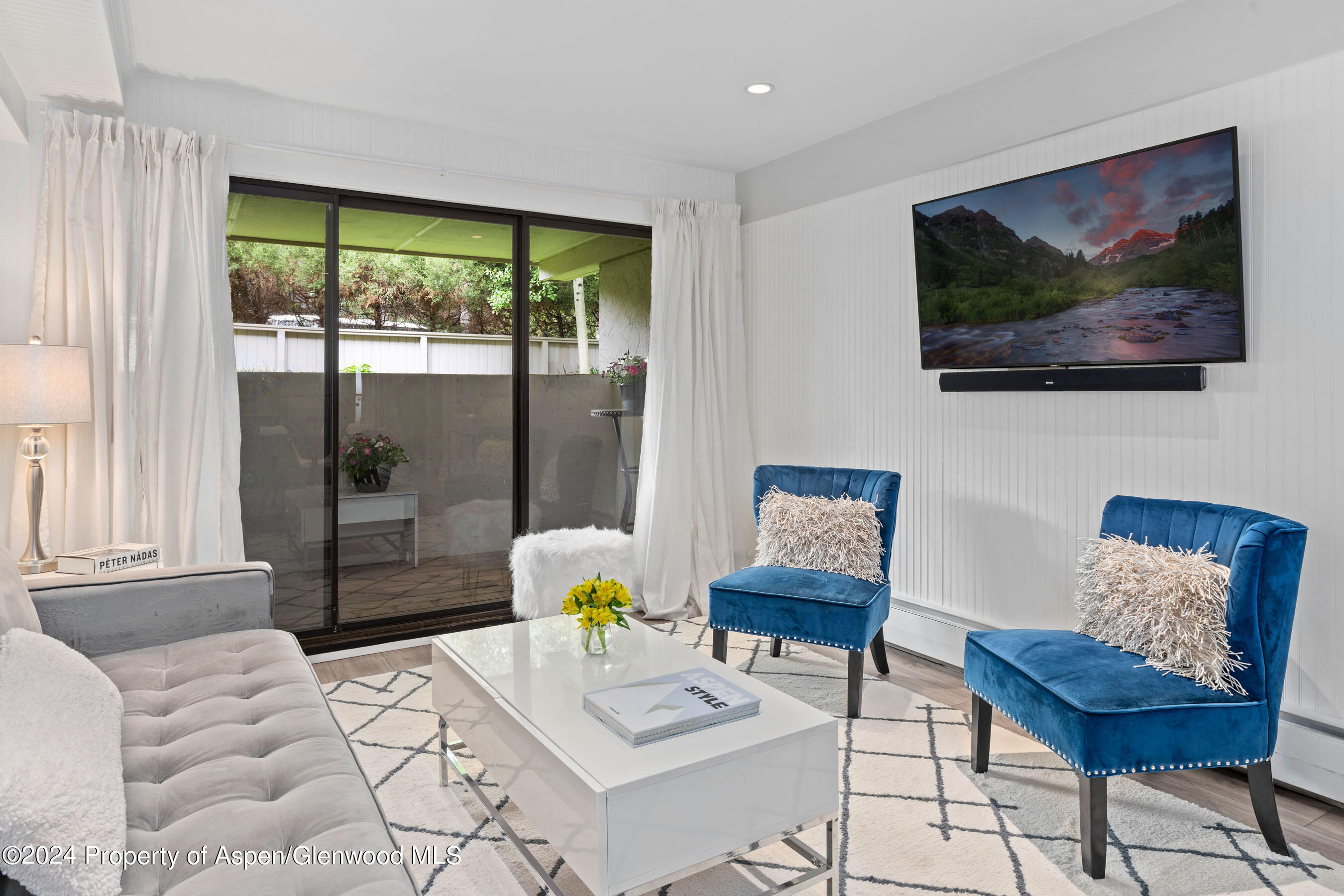 980 E Hyman Avenue Aspen CO 81611