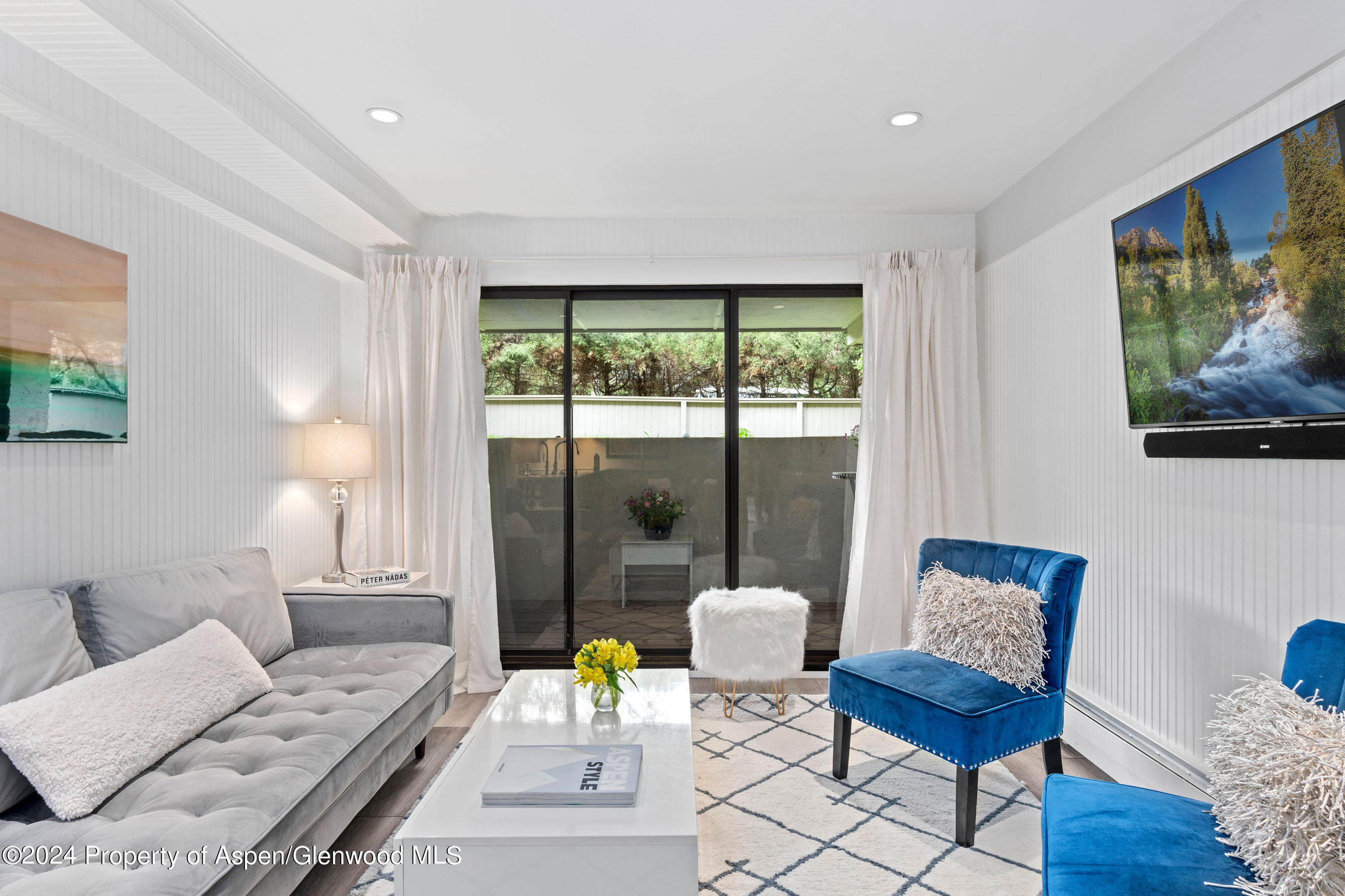 980 E Hyman Avenue Aspen CO 81611