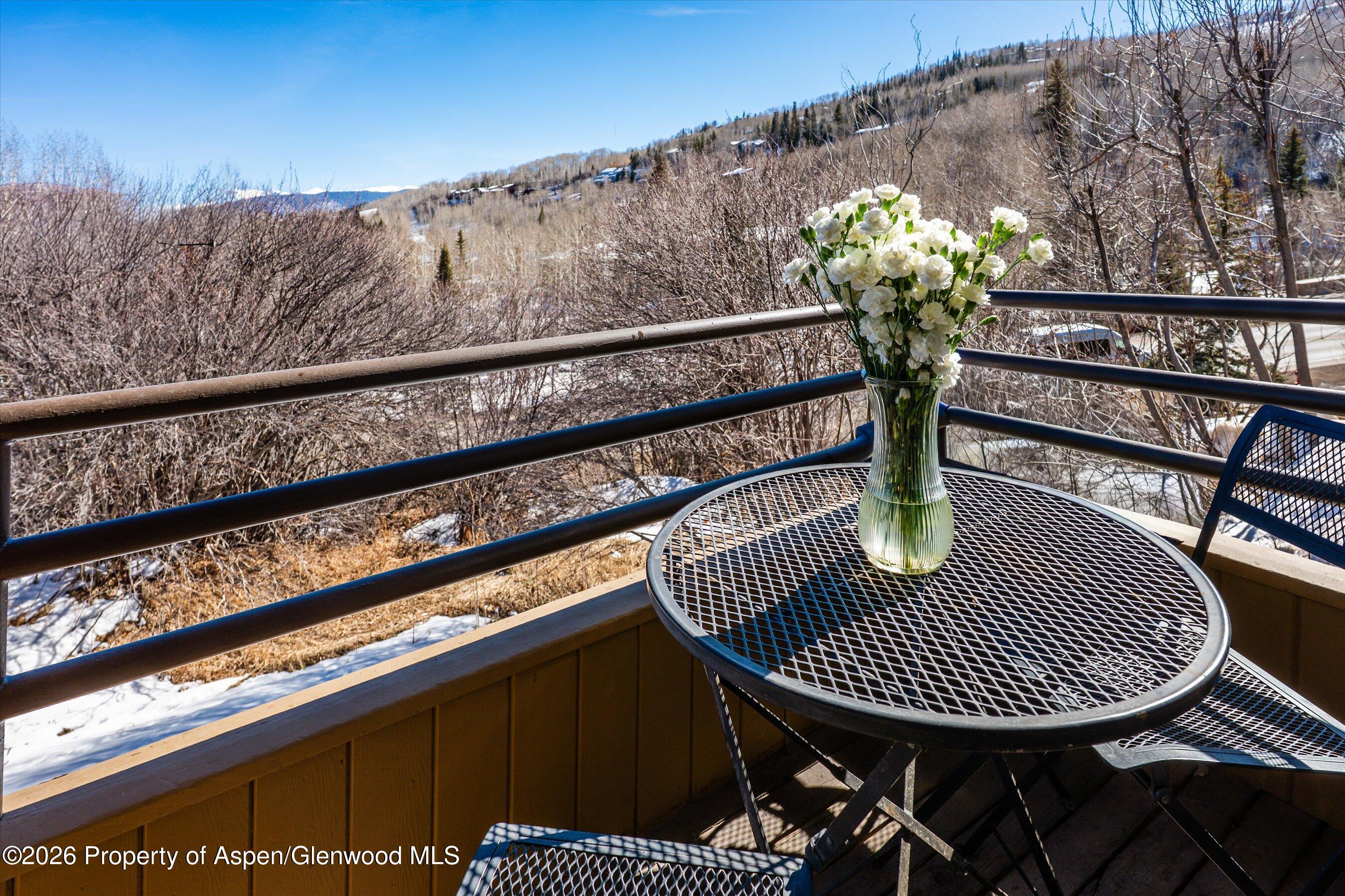 34 Lower Woodbridge Road Snowmass Village CO 81615