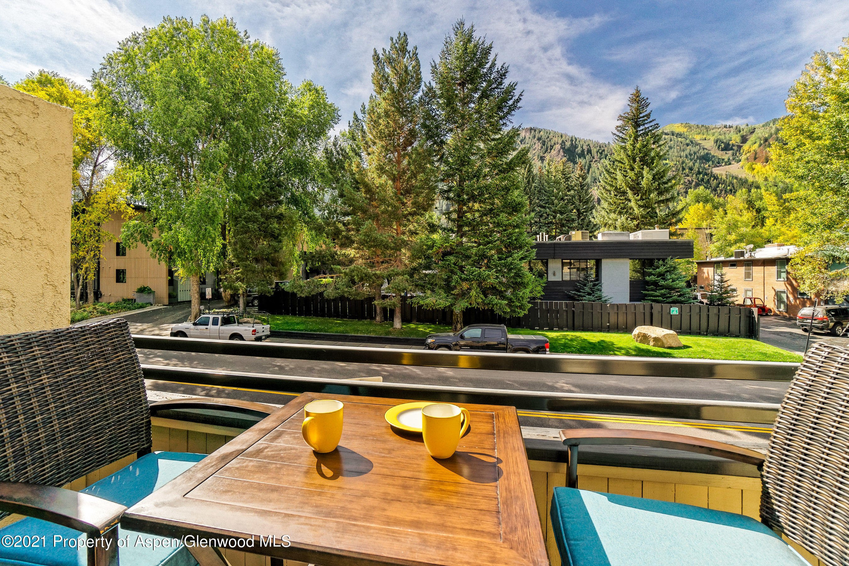 1024 E Cooper Aspen CO 81611