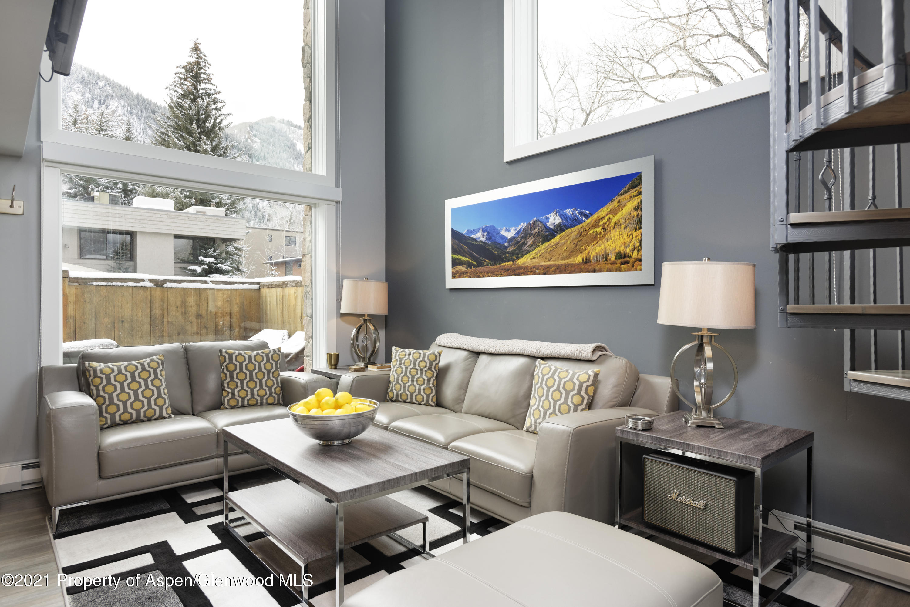 1024 E Cooper Aspen CO 81611
