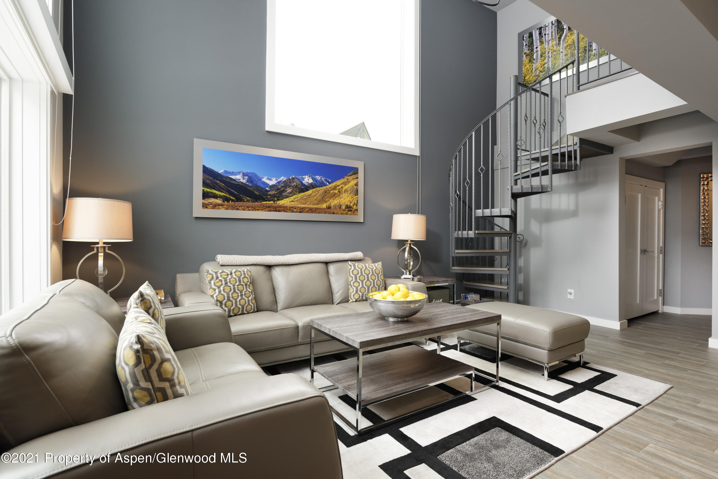 1024 E Cooper Aspen CO 81611