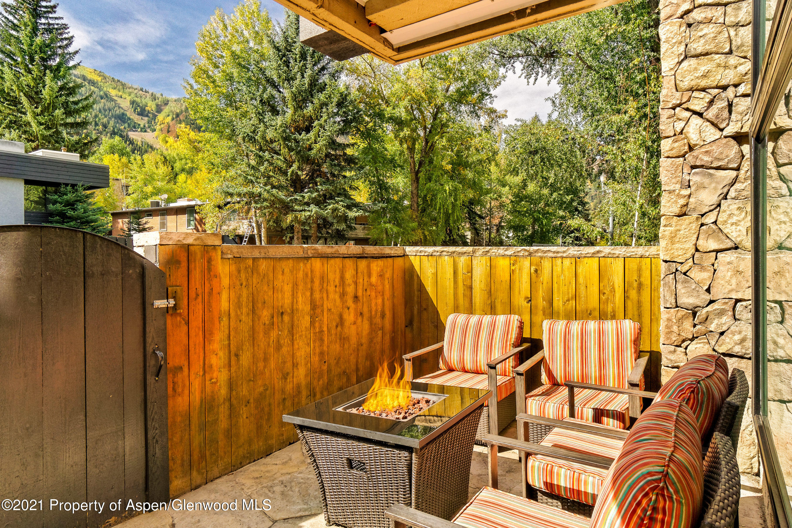 1024 E Cooper Aspen CO 81611